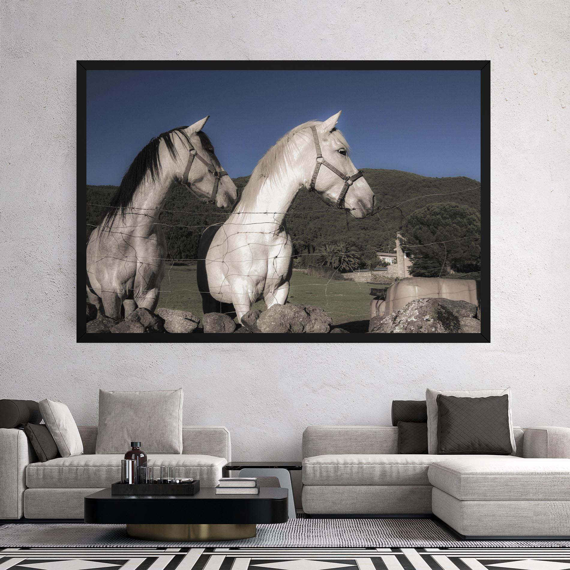 Vászonkép White Grey Horse mockup 2