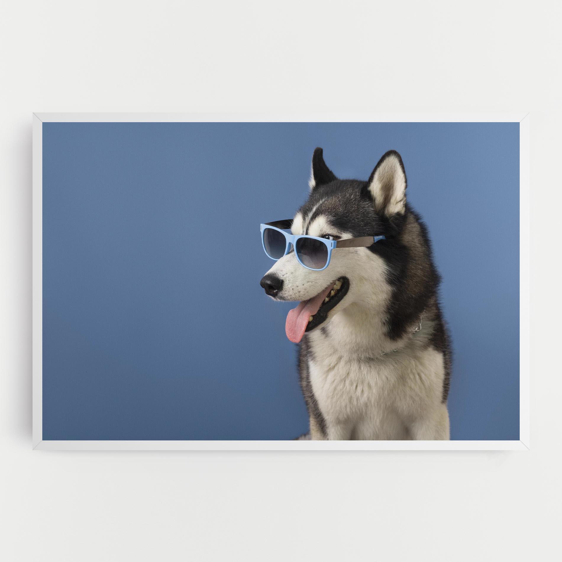 Vászonkép Blue Glasses Dog mockup 0