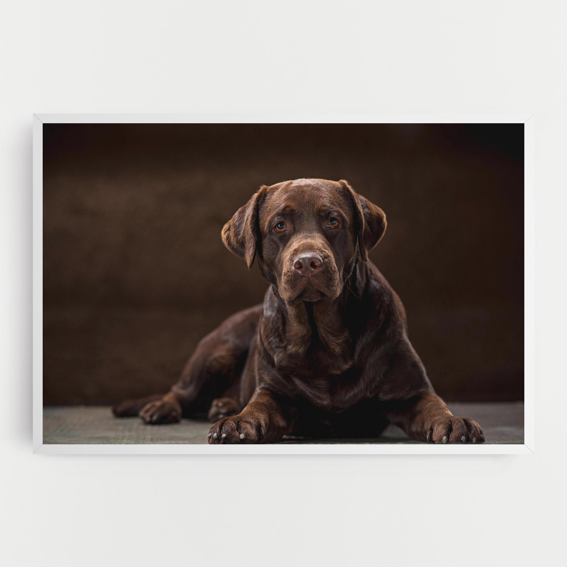 Vászonkép Cute Brown Labrador mockup 0