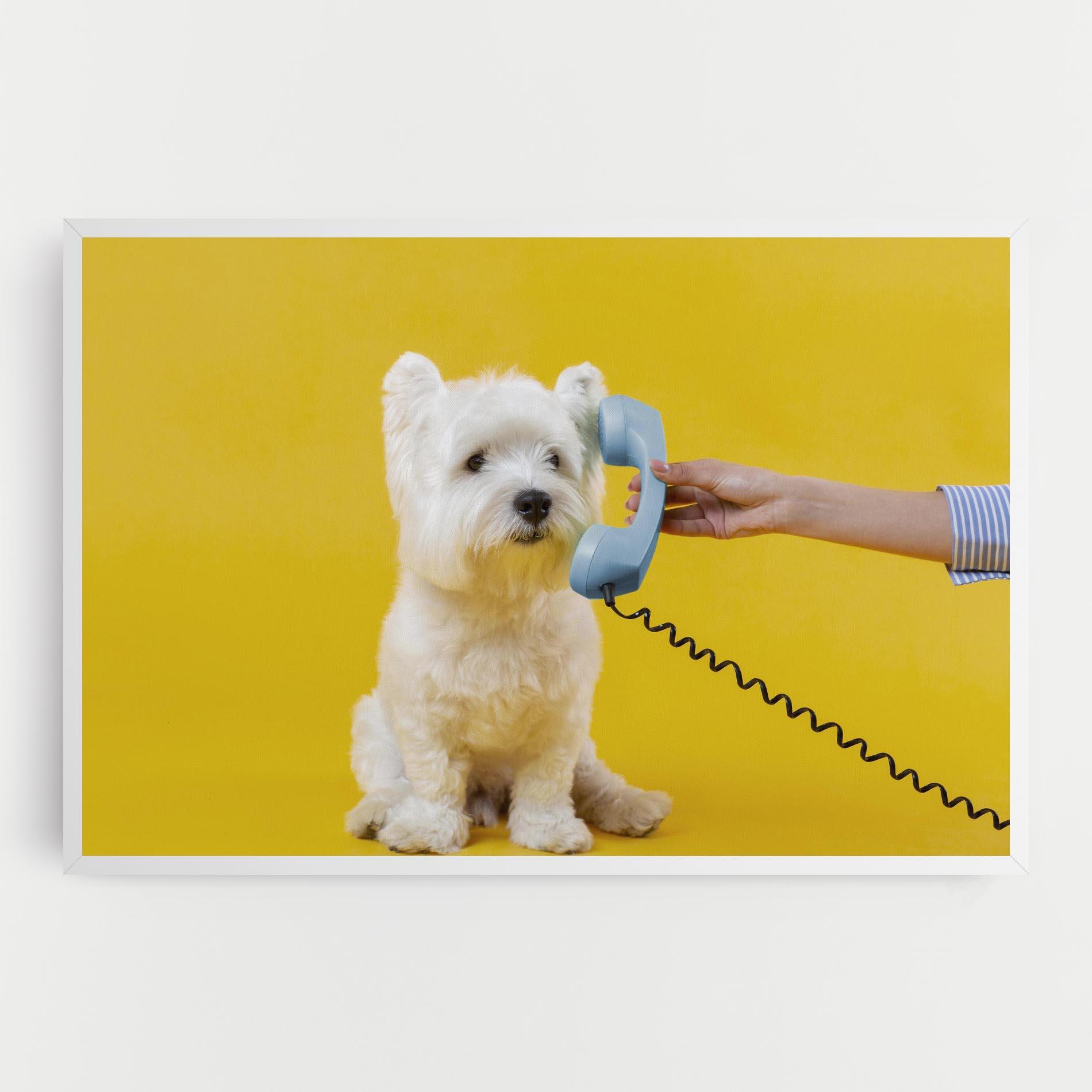Vászonkép Cute Little Dog mockup 0