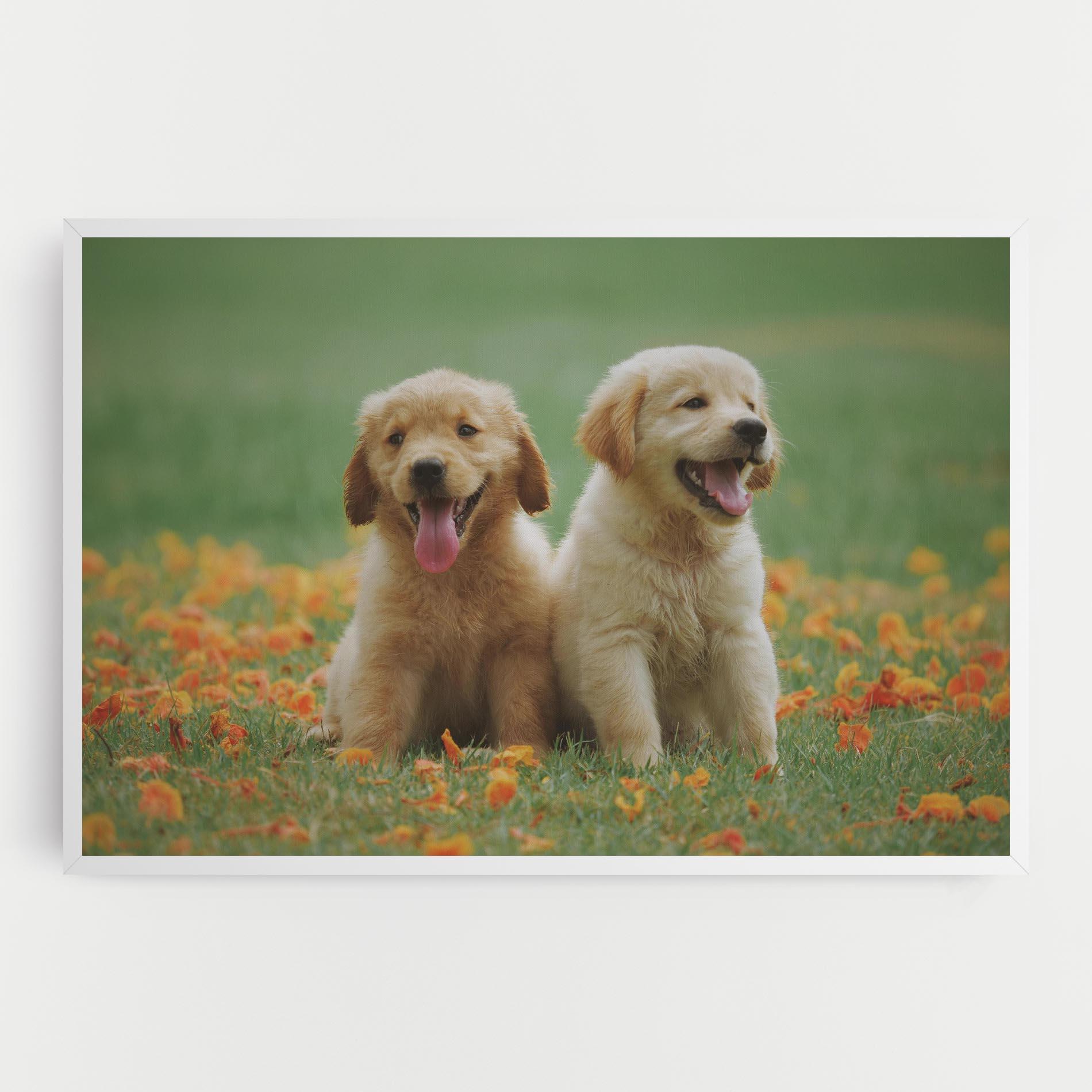 Vászonkép Happy Dogs mockup 0