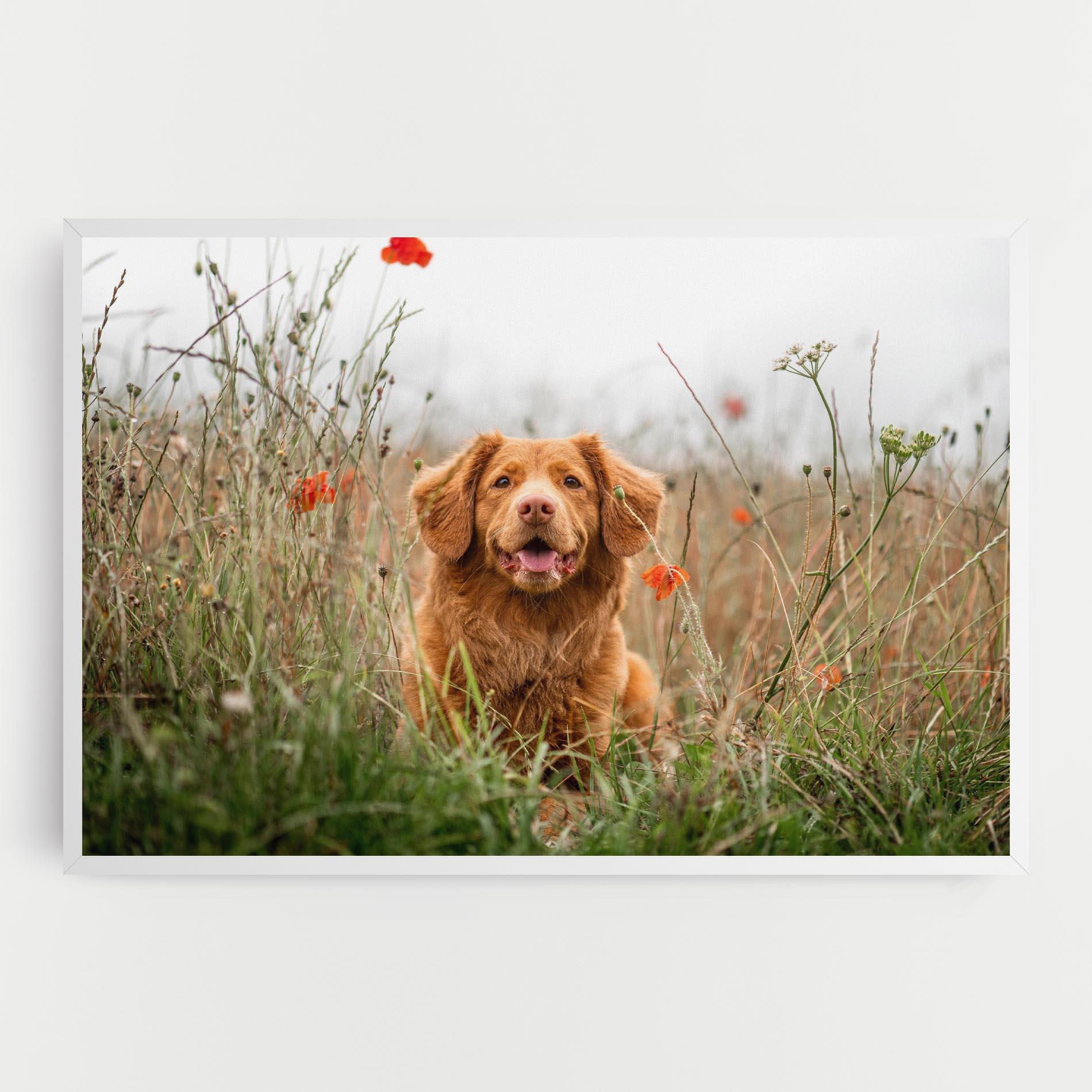 Vászonkép Red Flowers Dog mockup 0