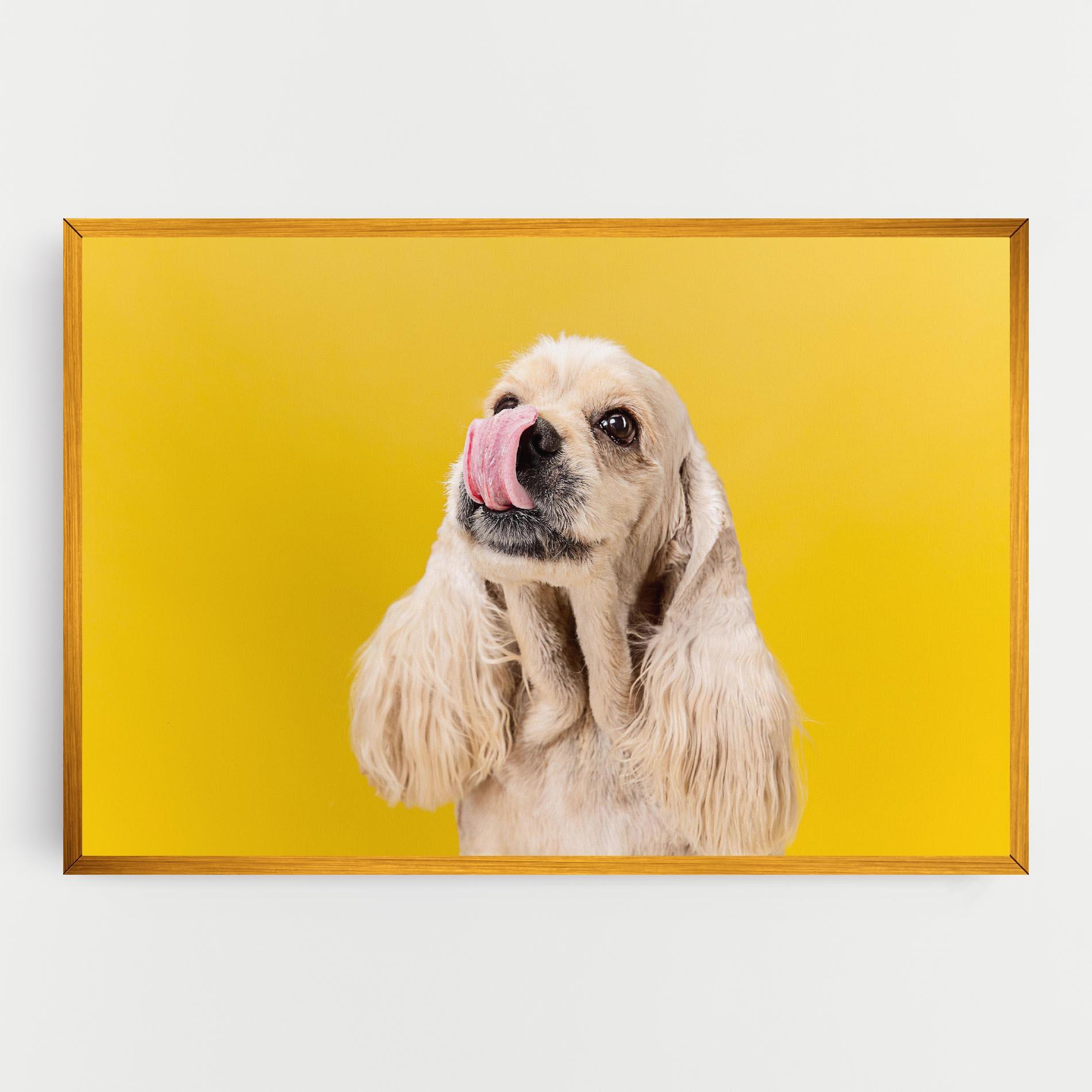 Vászonkép American Spaniel mockup 0