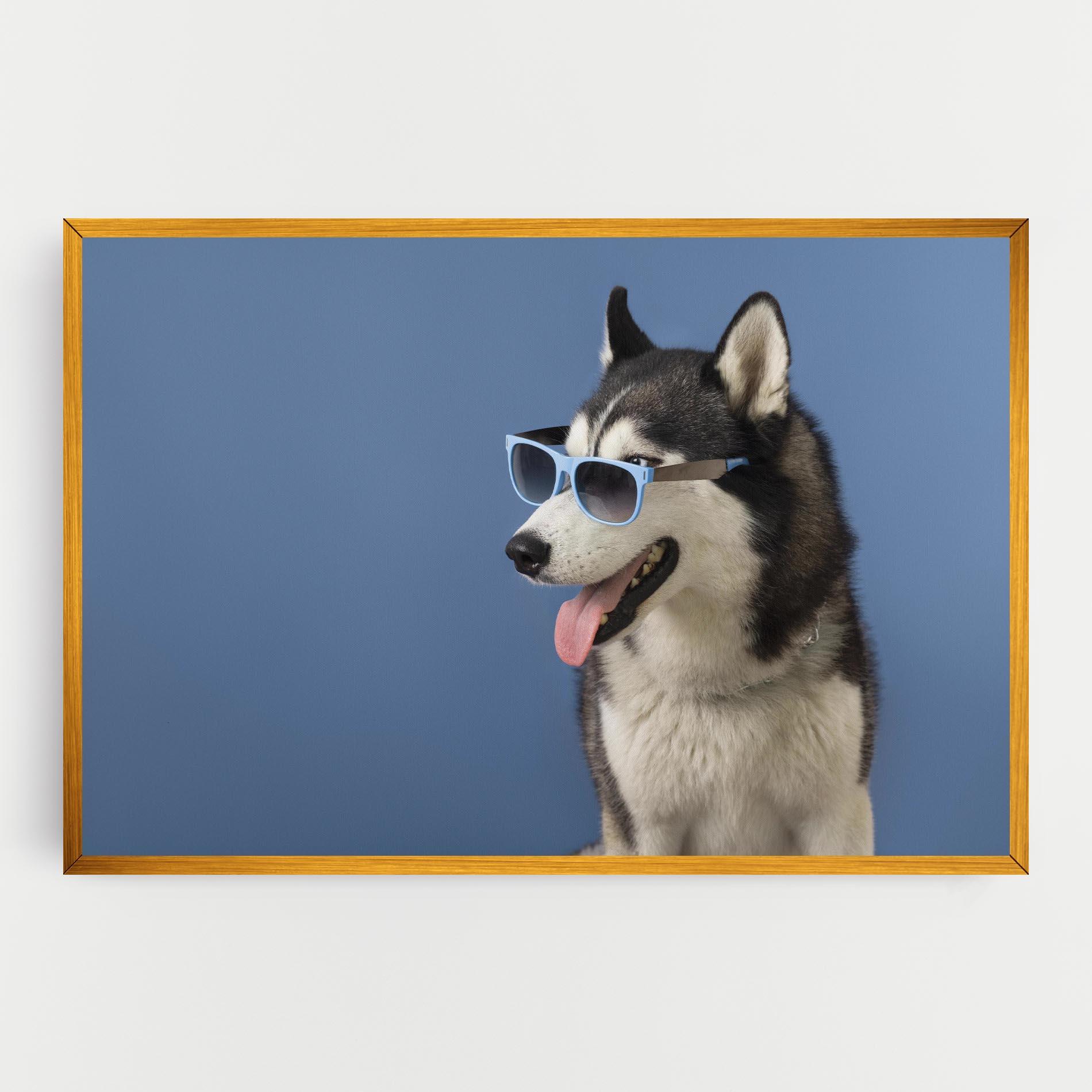 Vászonkép Blue Glasses Dog mockup 0