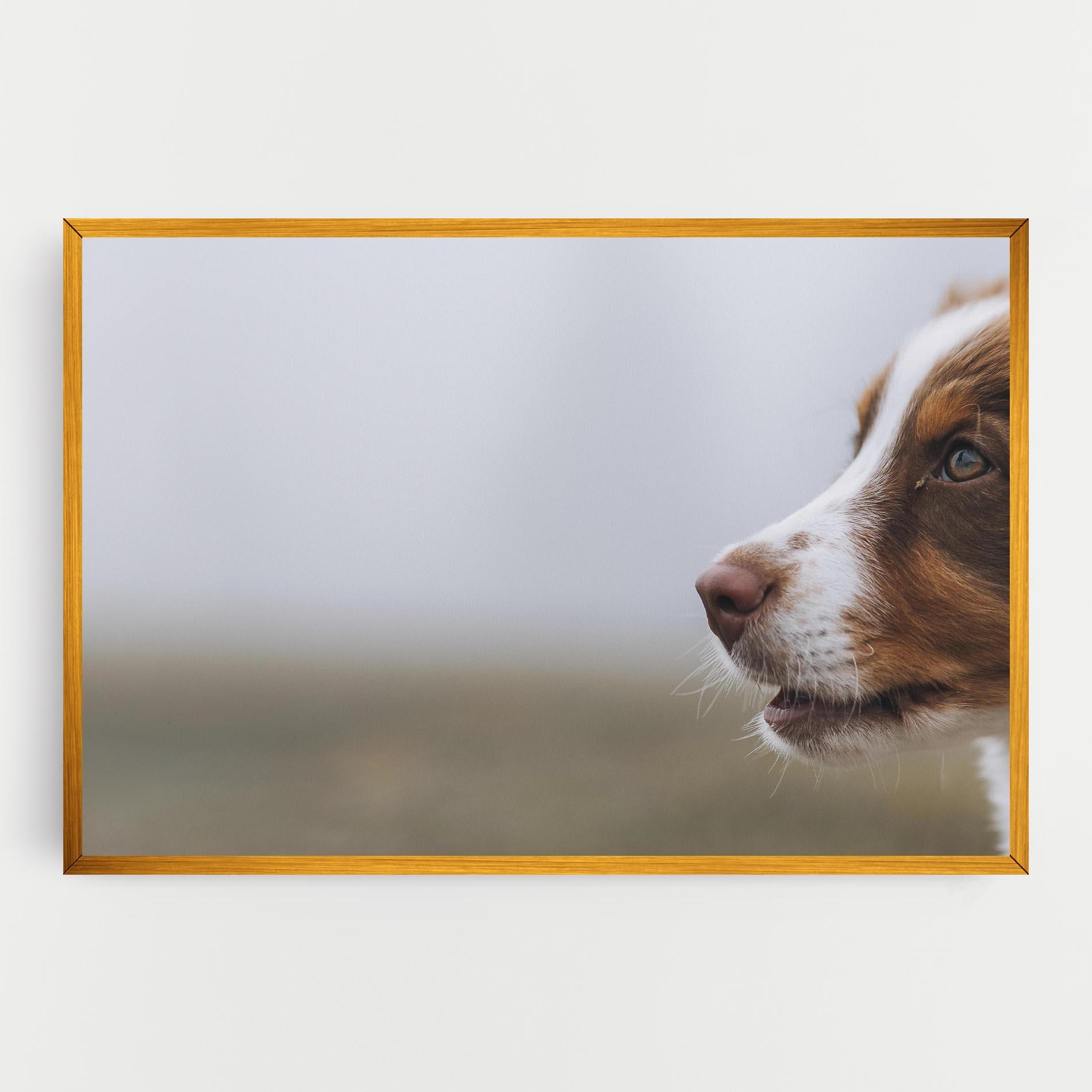 Vászonkép Brown White Dog mockup 0
