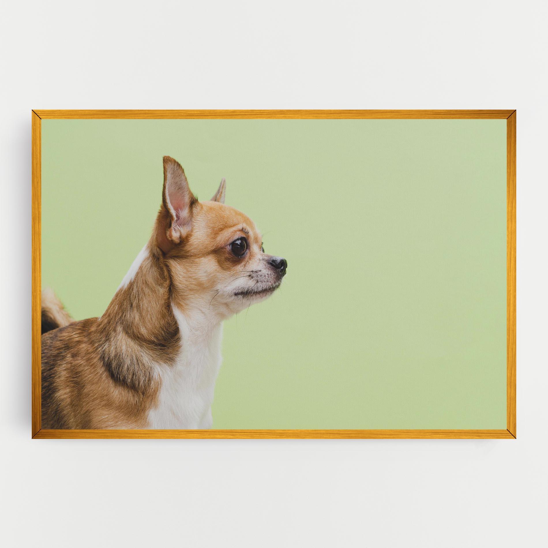 Vászonkép Chihuahua Dog mockup 0