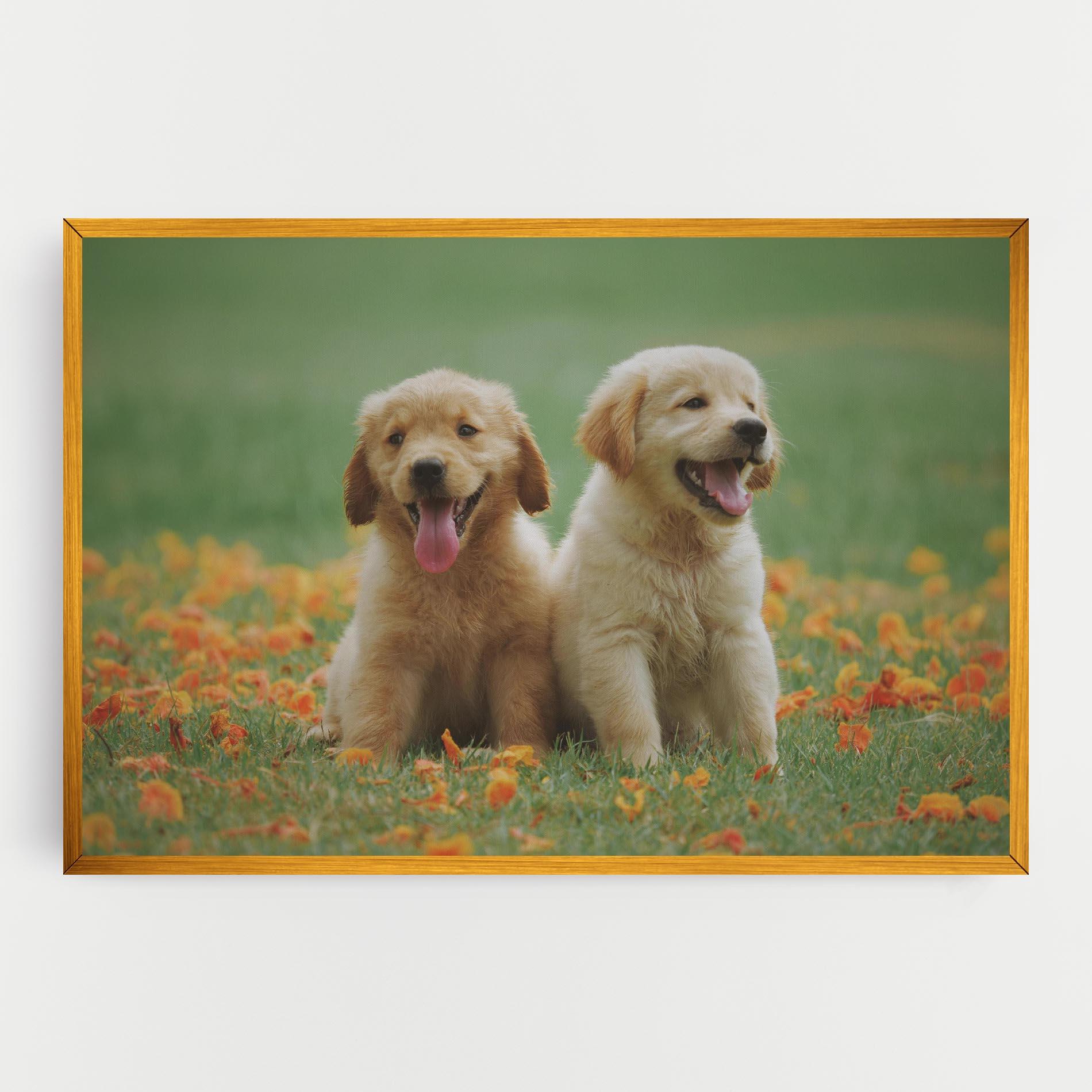 Vászonkép Happy Dogs mockup 0