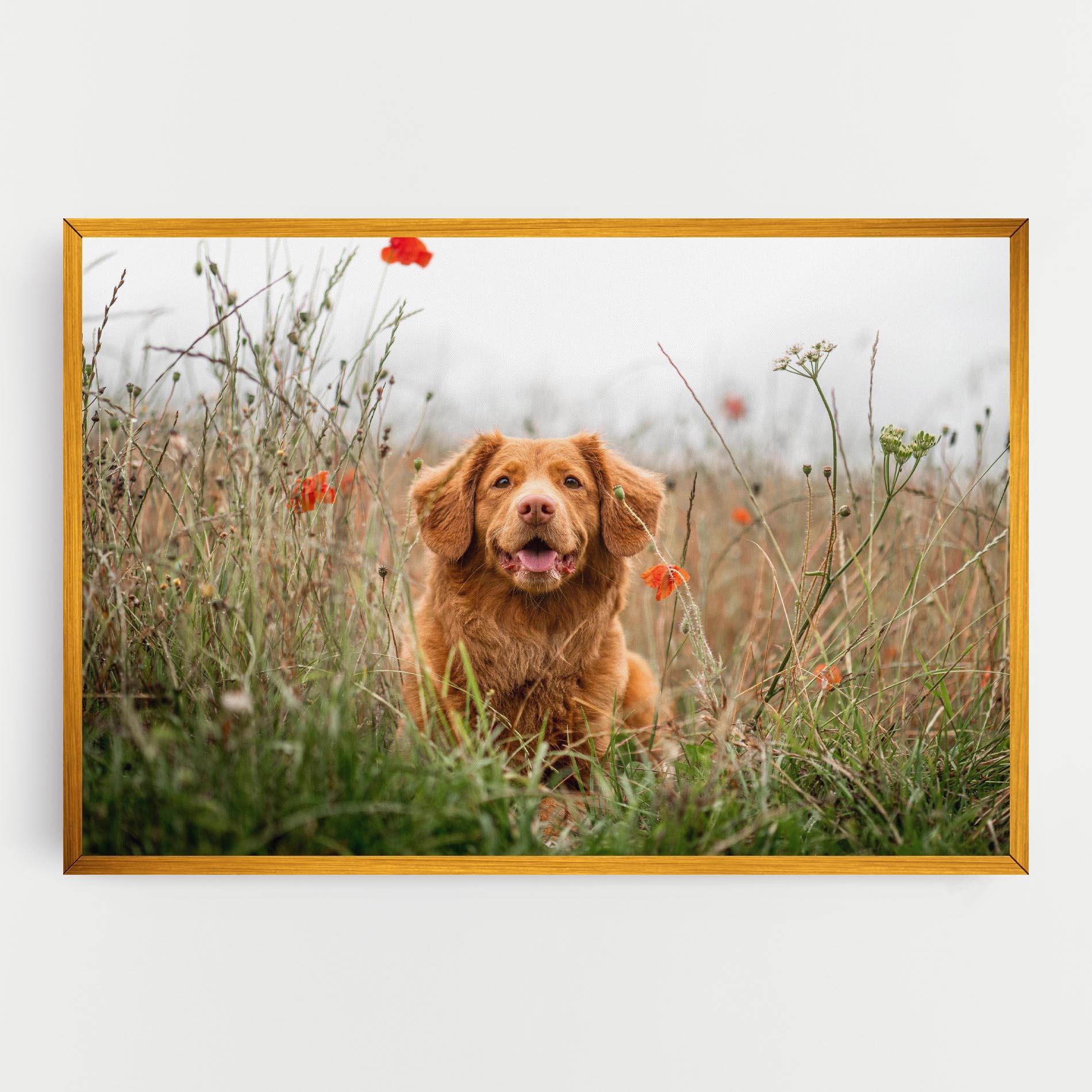 Vászonkép Red Flowers Dog mockup 0