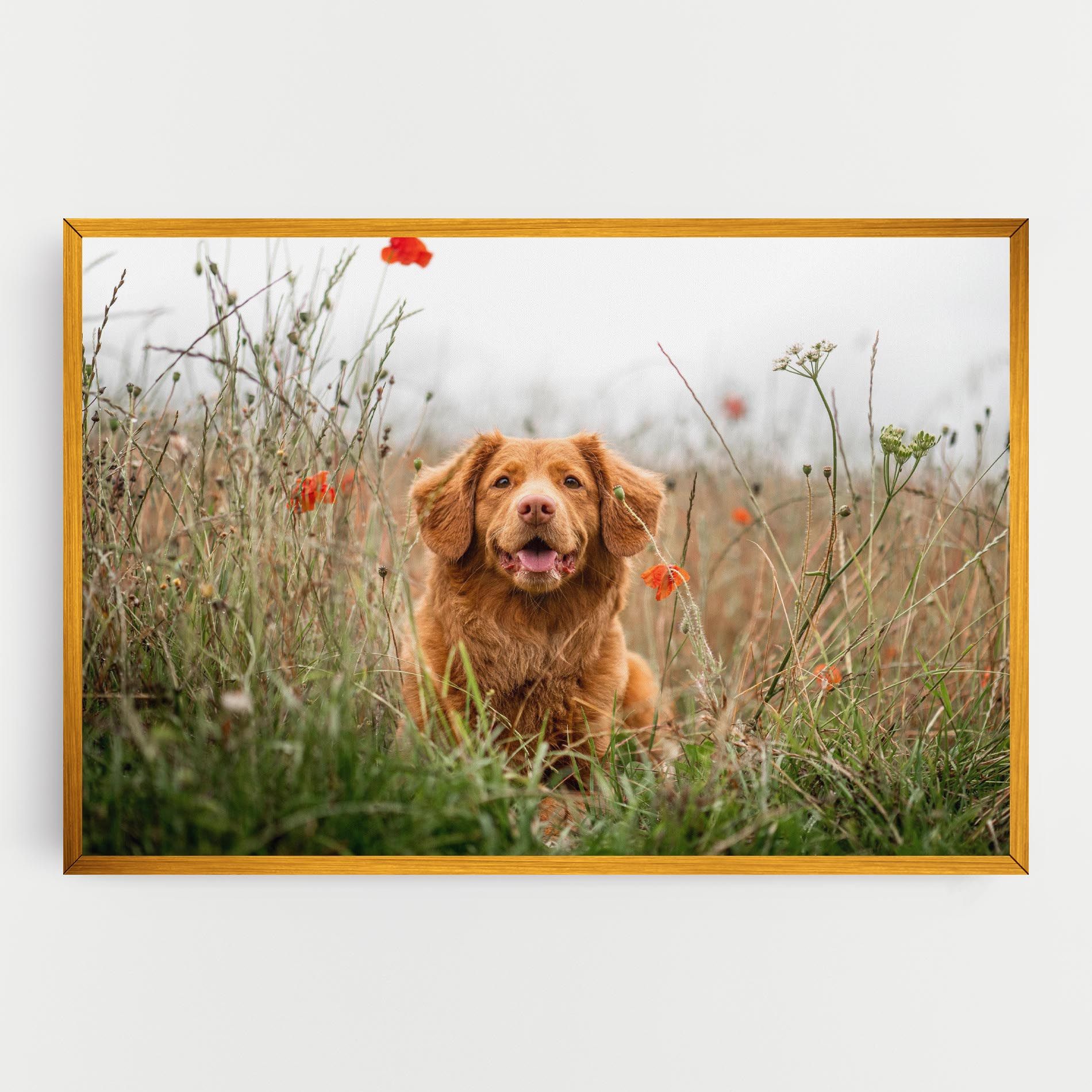 Red Flowers Dog mockup 0