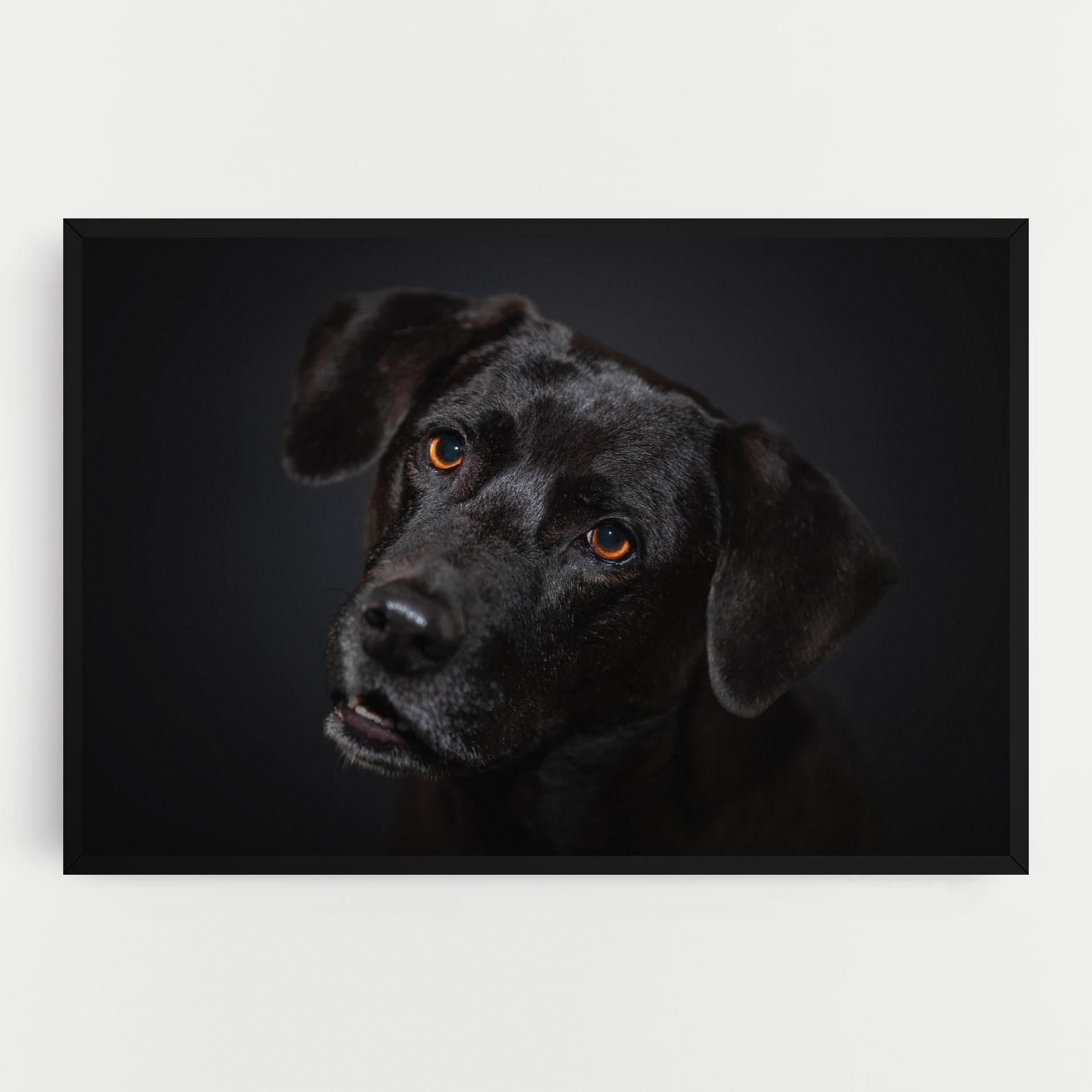 Vászonkép Black Dog Portrait mockup 0