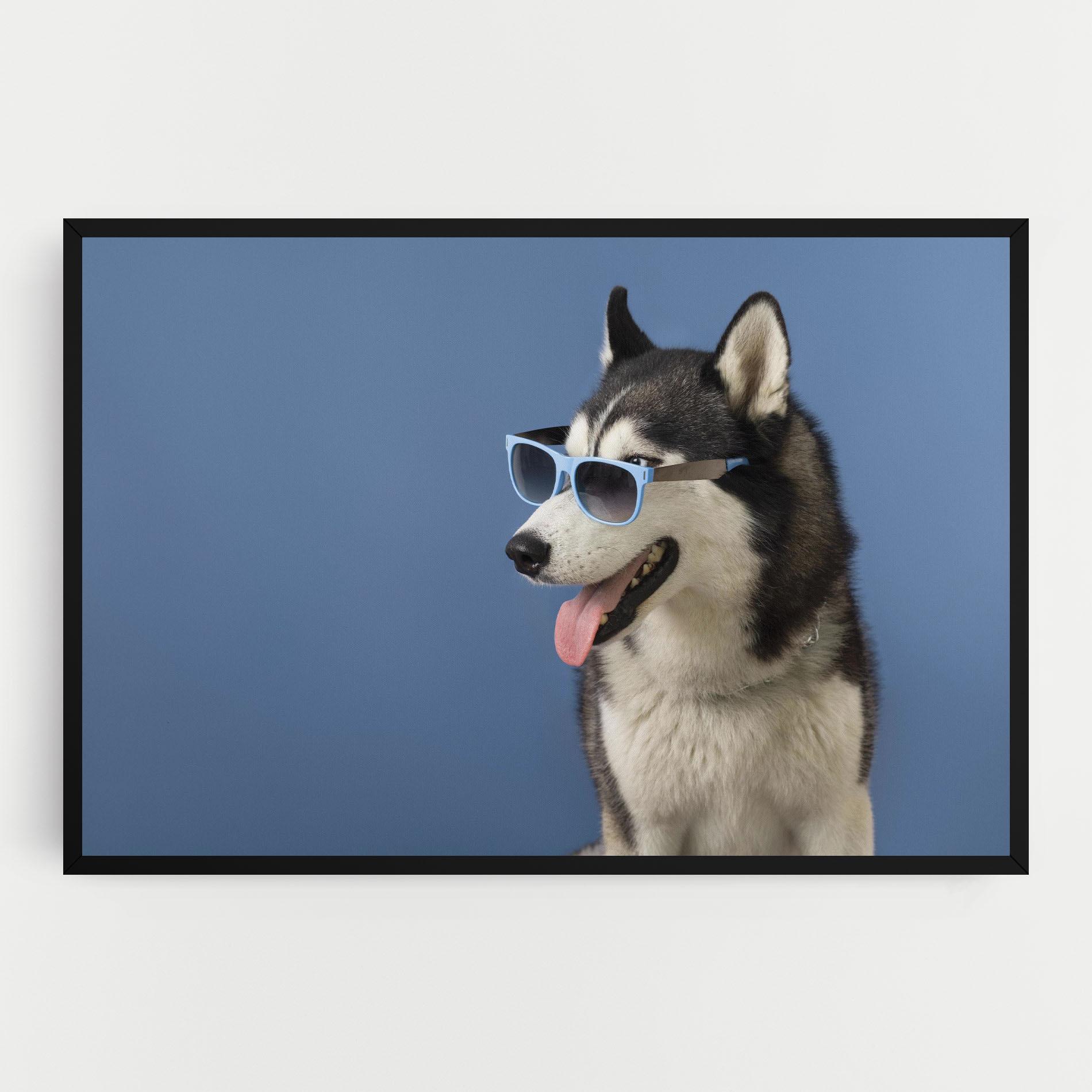 Vászonkép Blue Glasses Dog mockup 0