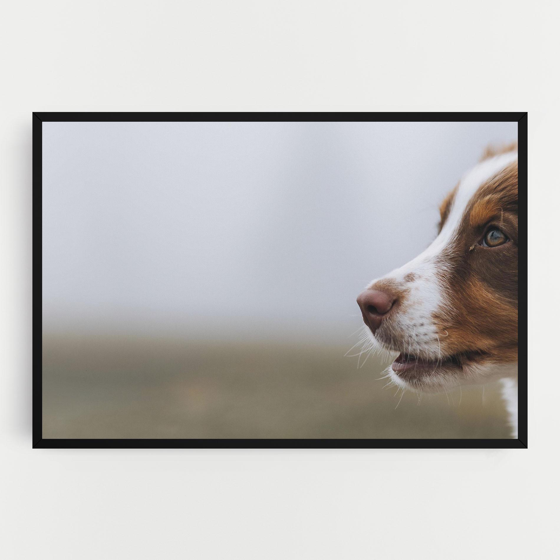 Vászonkép Brown White Dog mockup 0