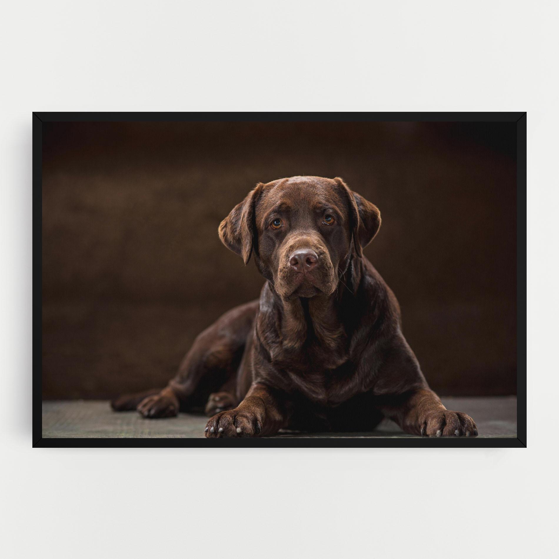 Vászonkép Cute Brown Labrador mockup 0