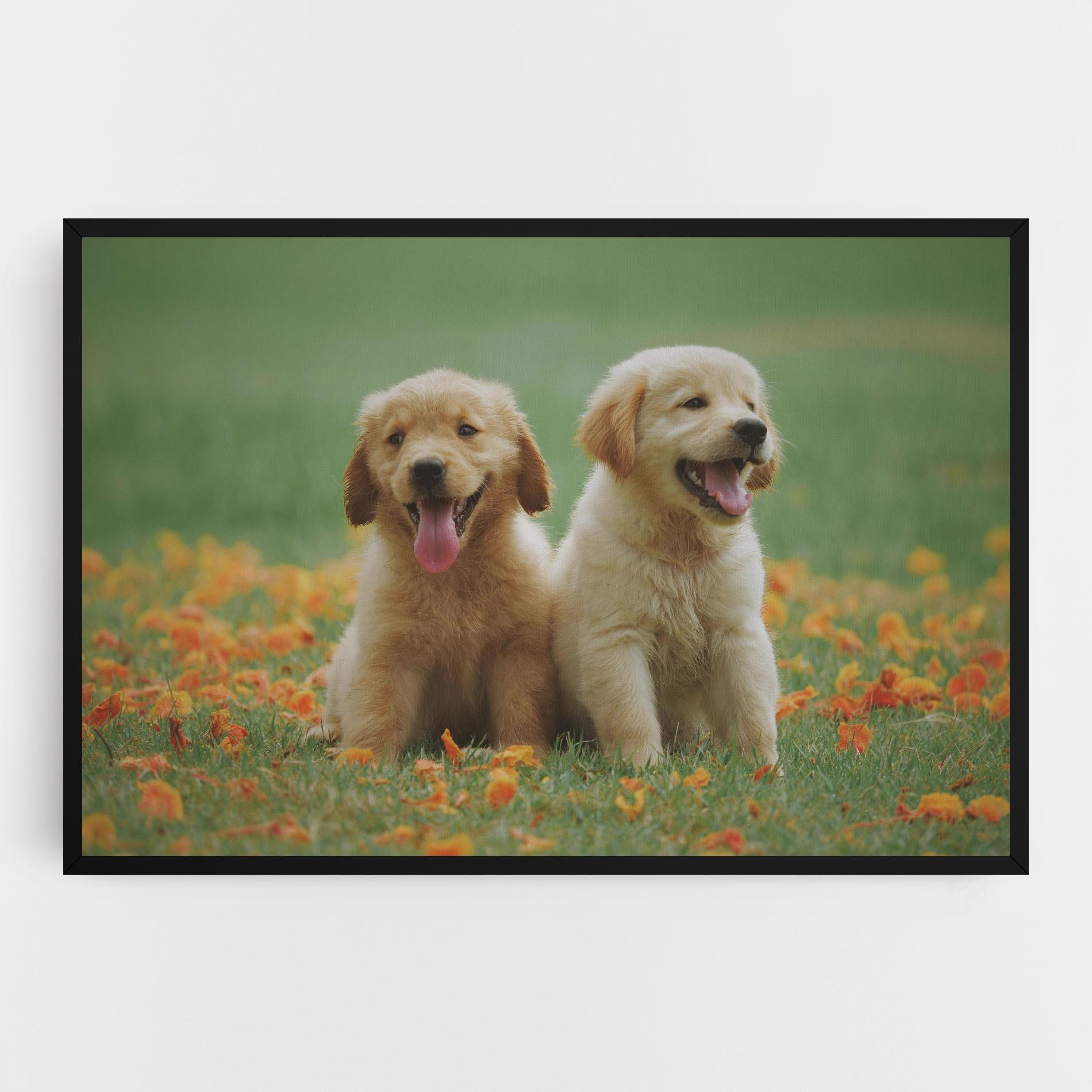 Vászonkép Happy Dogs mockup 0