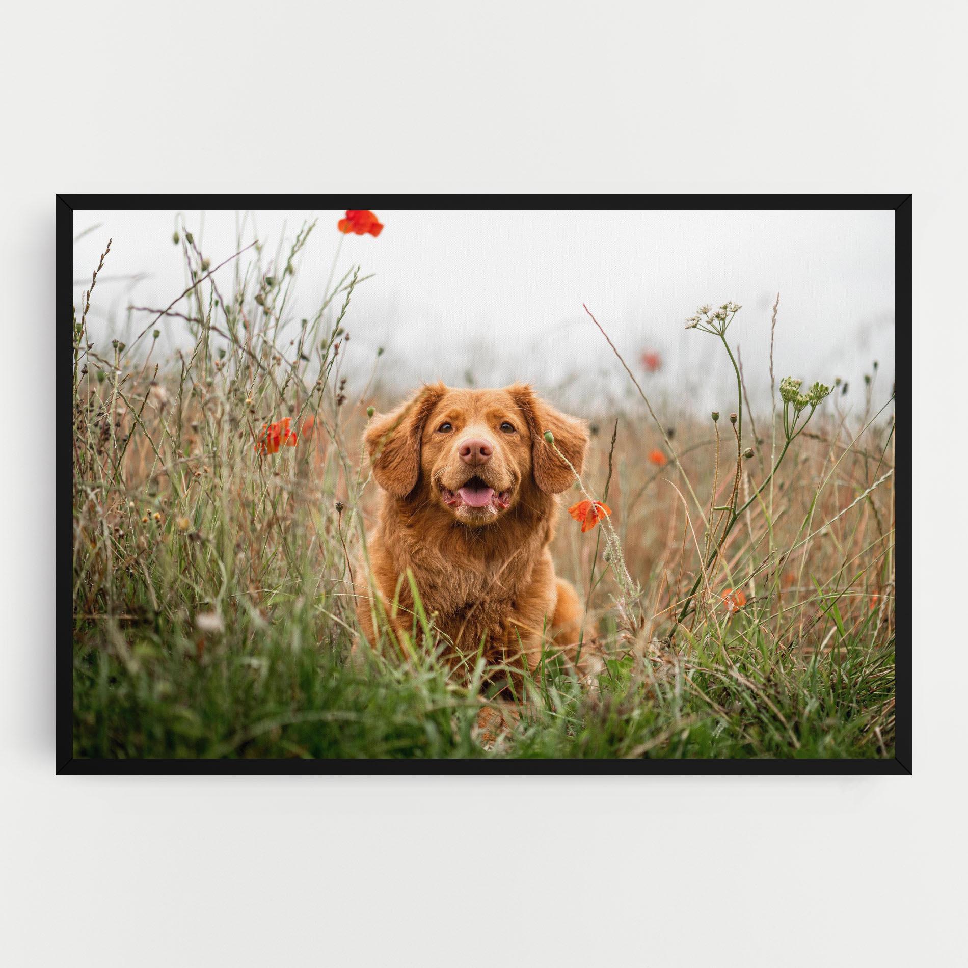 Vászonkép Red Flowers Dog mockup 0