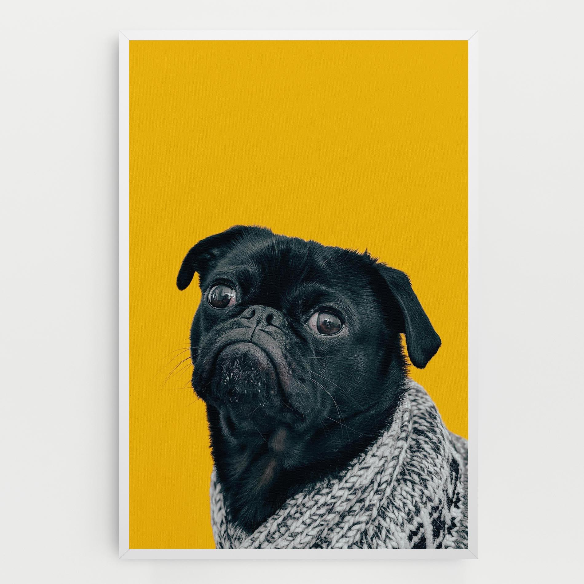 Vászonkép Black Pug mockup 0