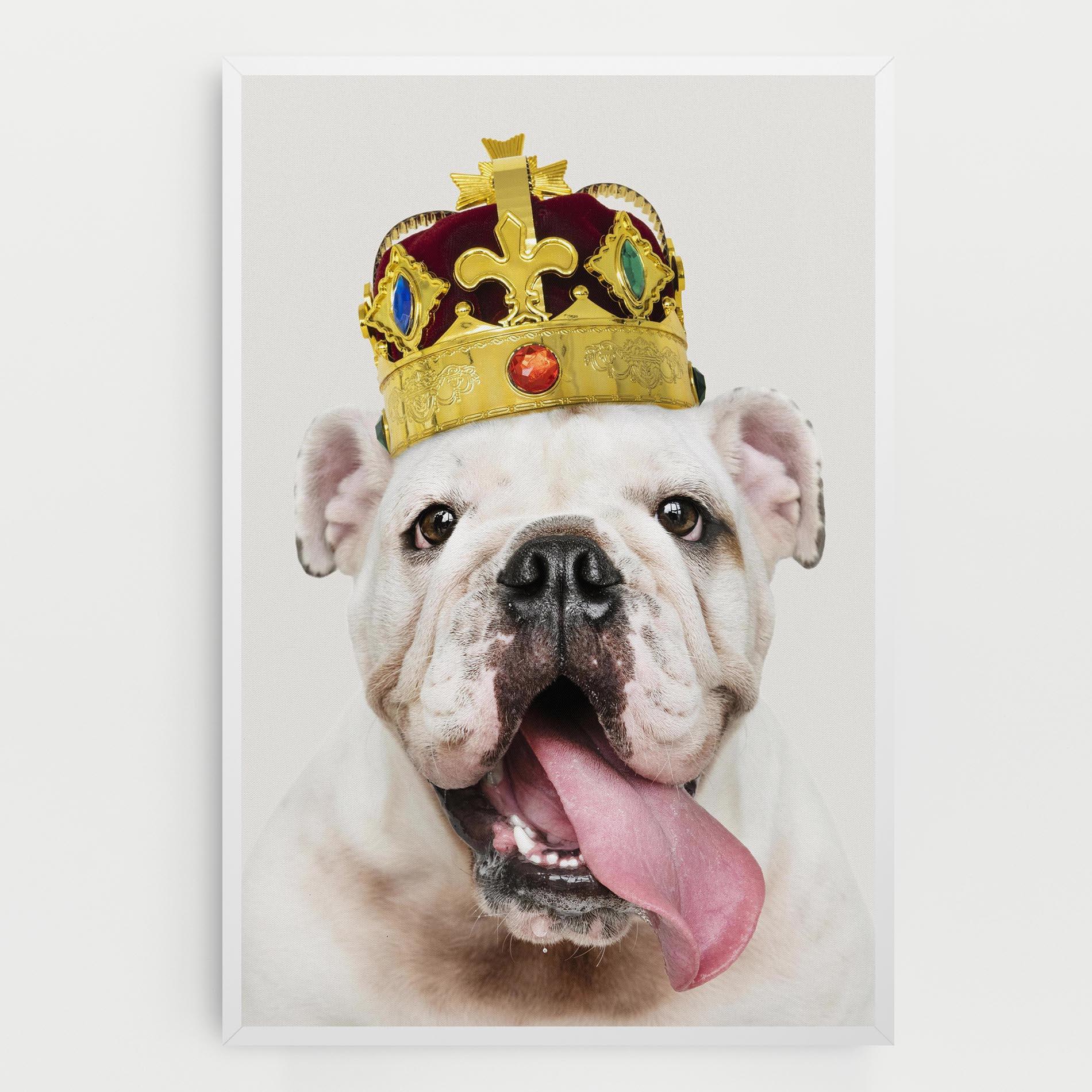 Vászonkép Bulldog Wearing Crown mockup 0