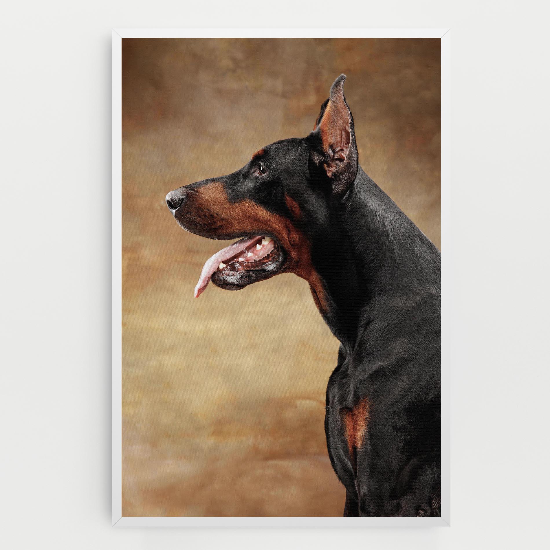 Vászonkép Doberman Pinscher mockup 0