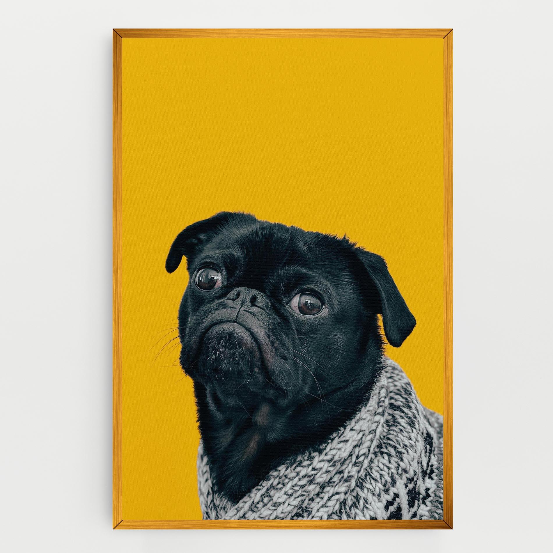 Vászonkép Black Pug mockup 0