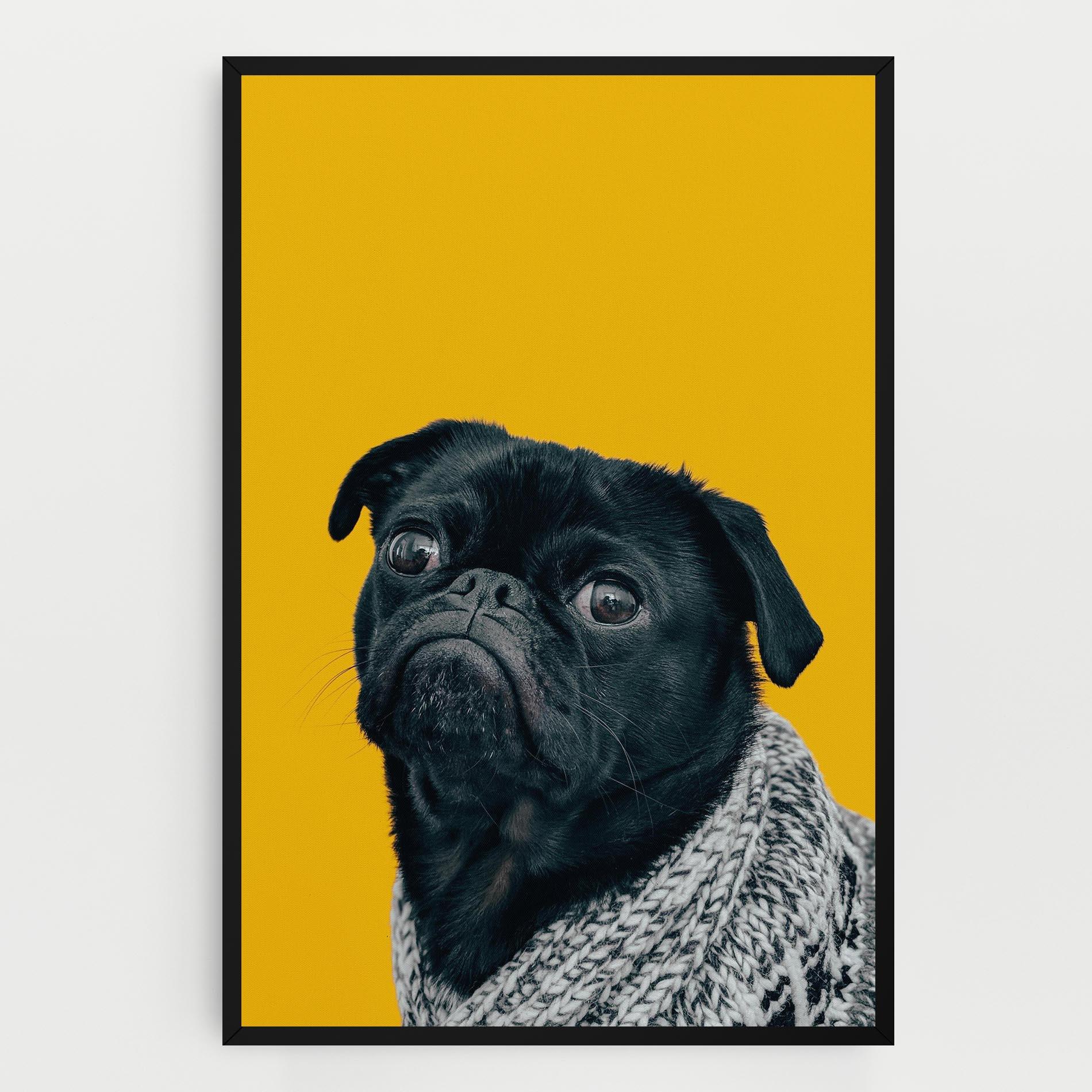 Vászonkép Black Pug mockup 0