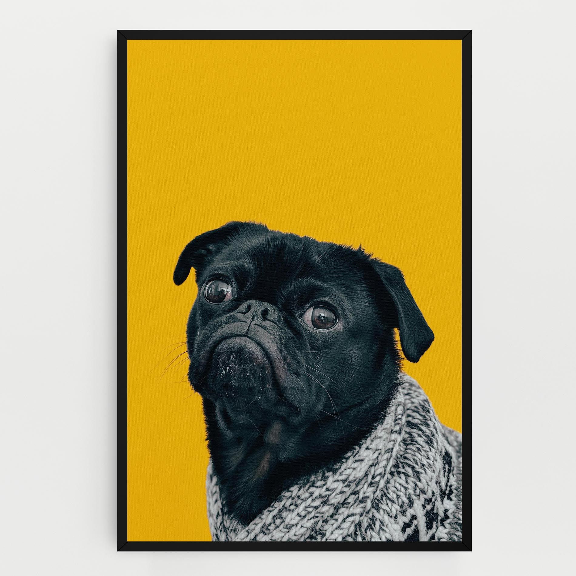 Black Pug mockup 0