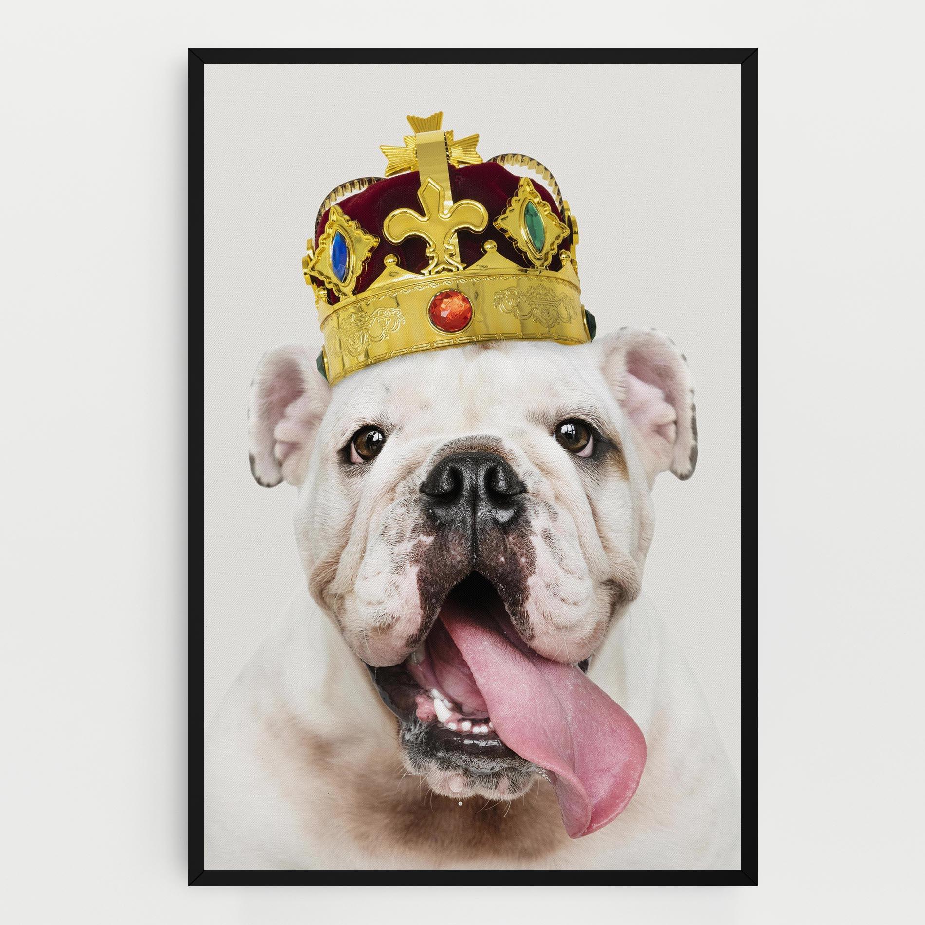 Vászonkép Bulldog Wearing Crown mockup 0