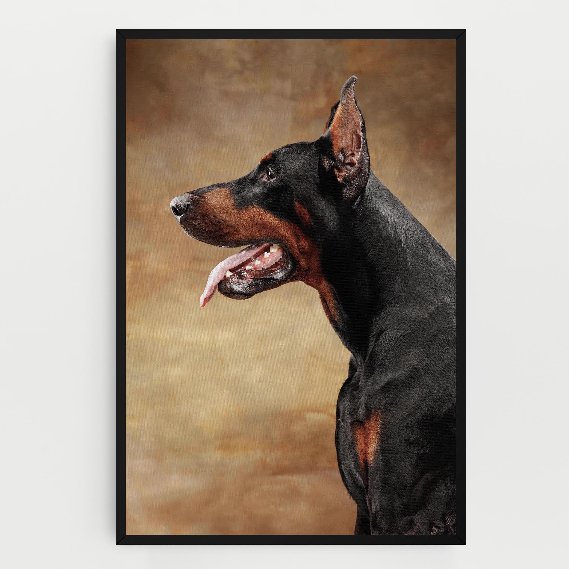 Vászonkép Doberman Pinscher mockup 0