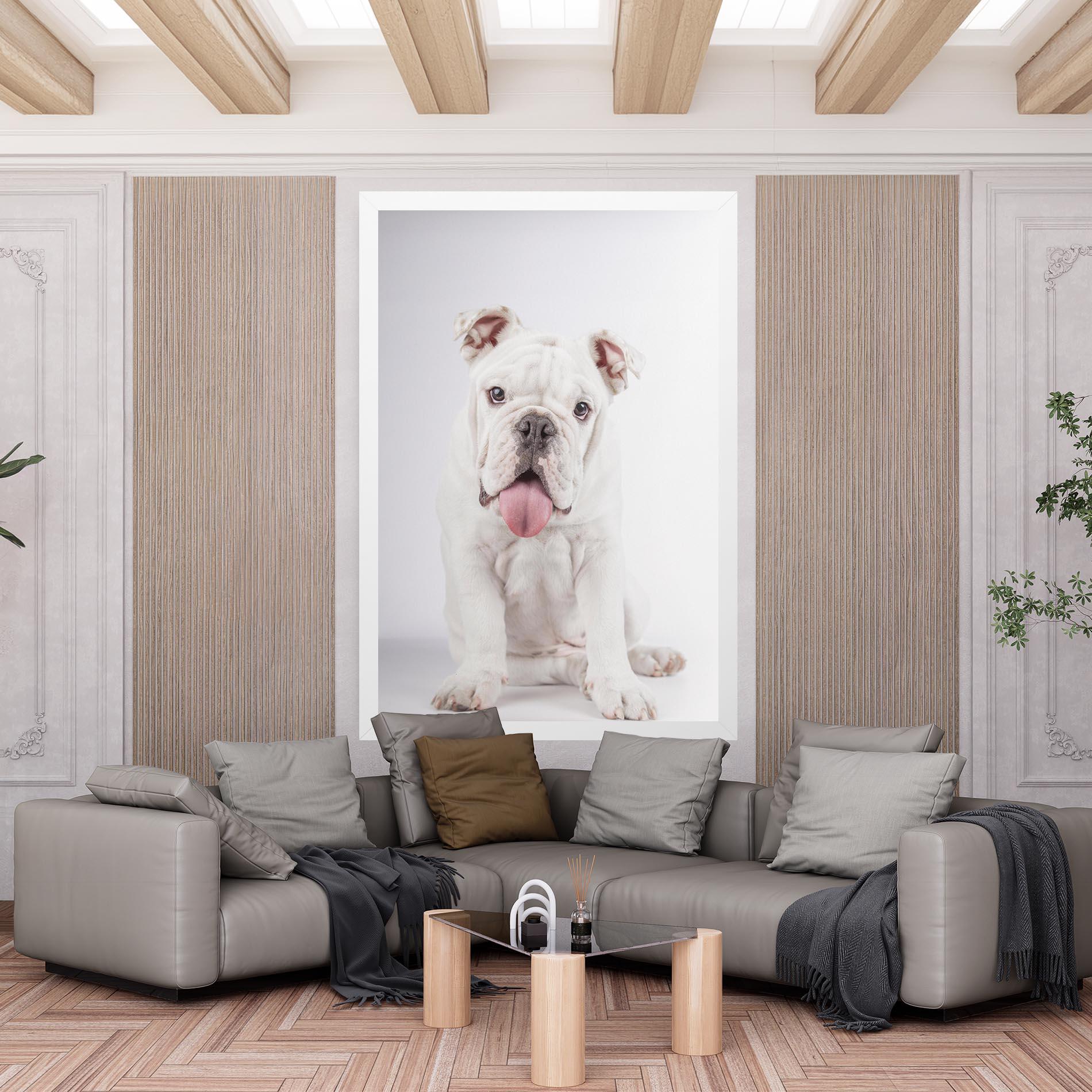 Vászonkép English Bulldog mockup 6