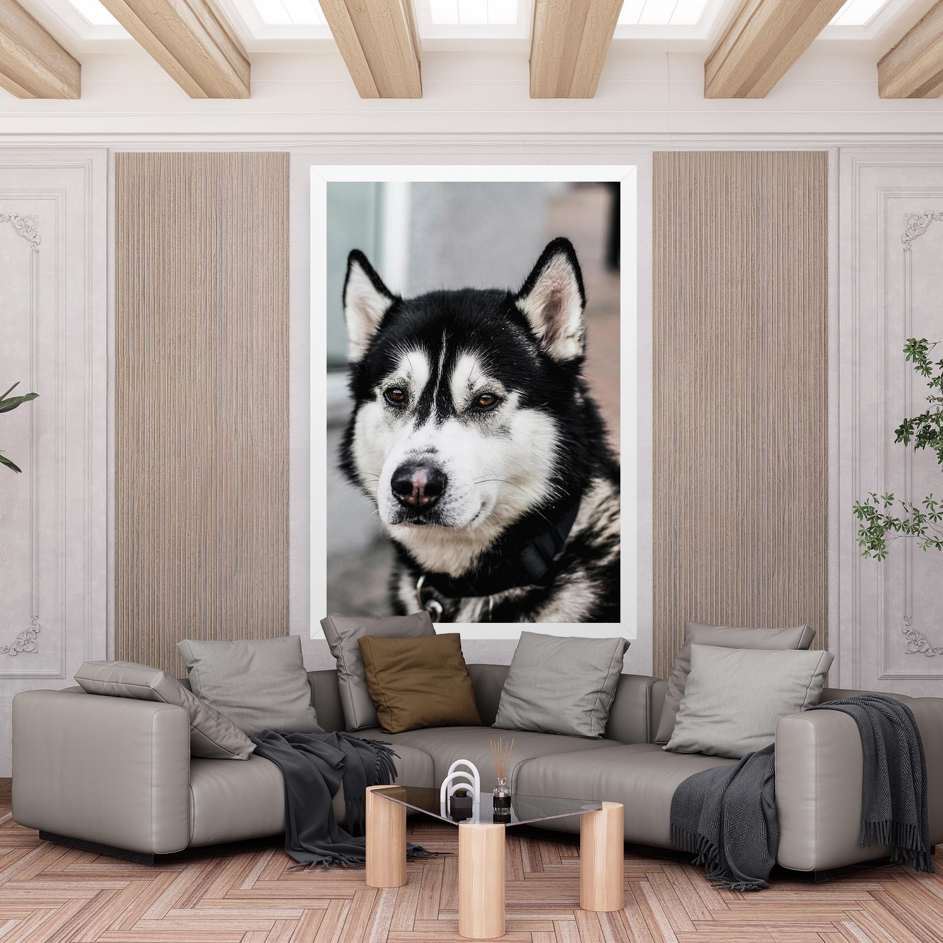 Vászonkép Husky Dog mockup 6