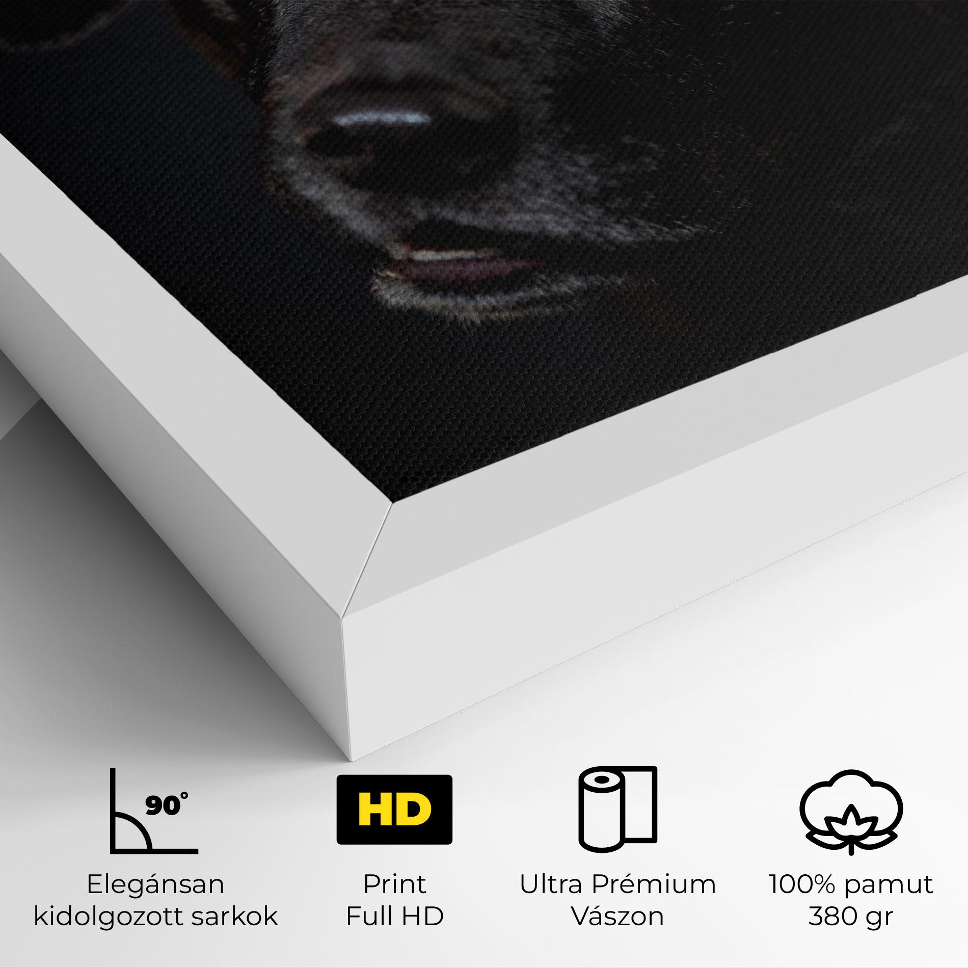 Vászonkép Black Dog Portrait mockup 4