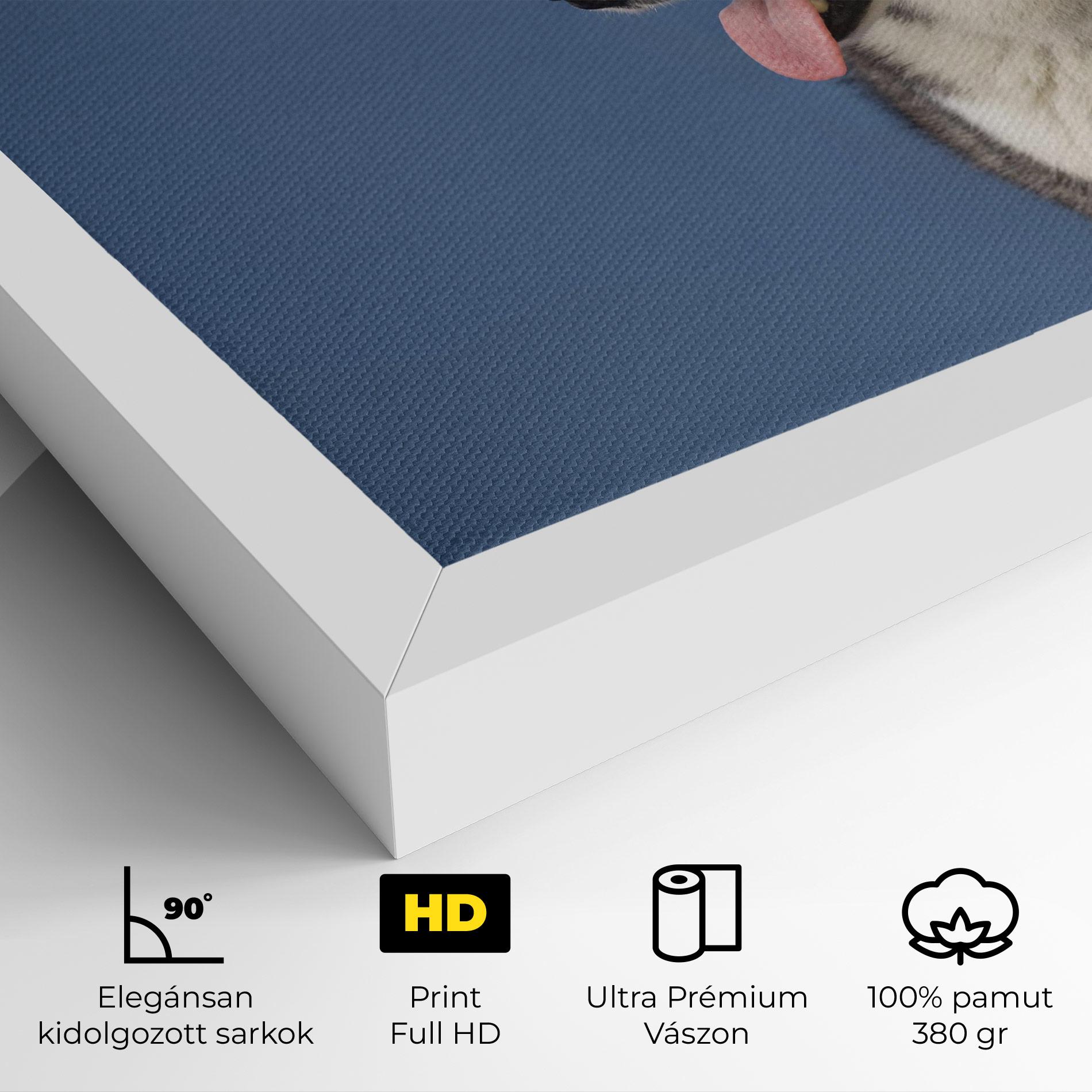 Vászonkép Blue Glasses Dog mockup 4