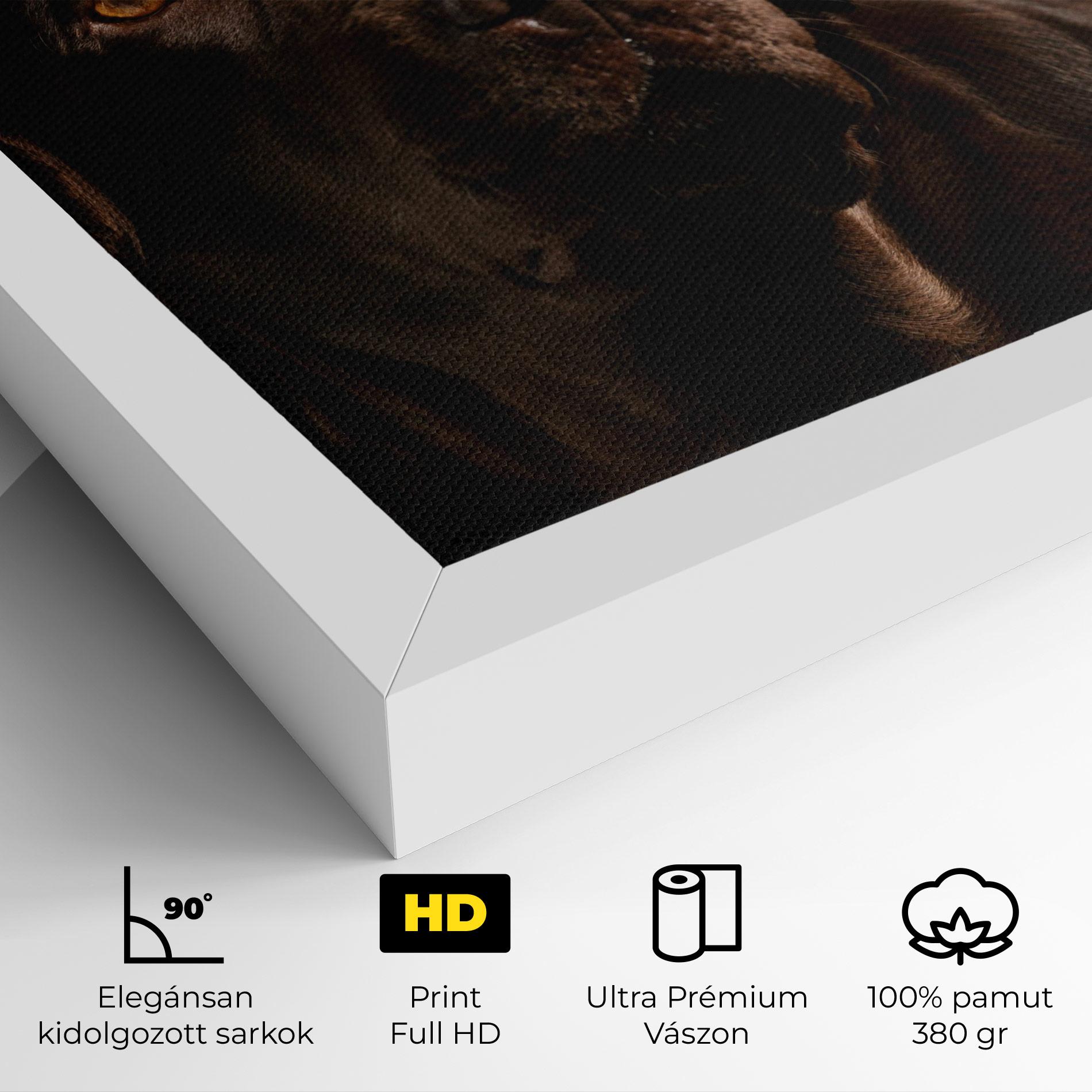 Vászonkép Brown Labrador mockup 4