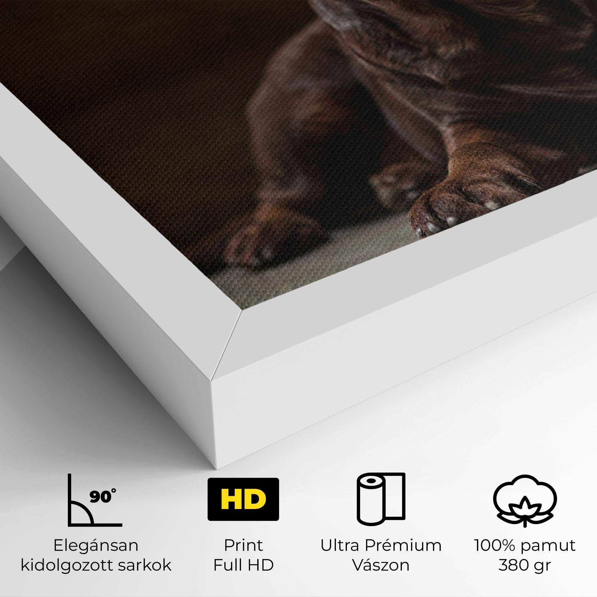 Vászonkép Cute Brown Labrador mockup 4