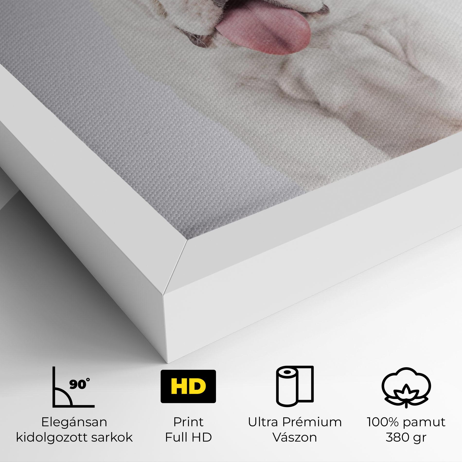 Vászonkép English Bulldog mockup 4