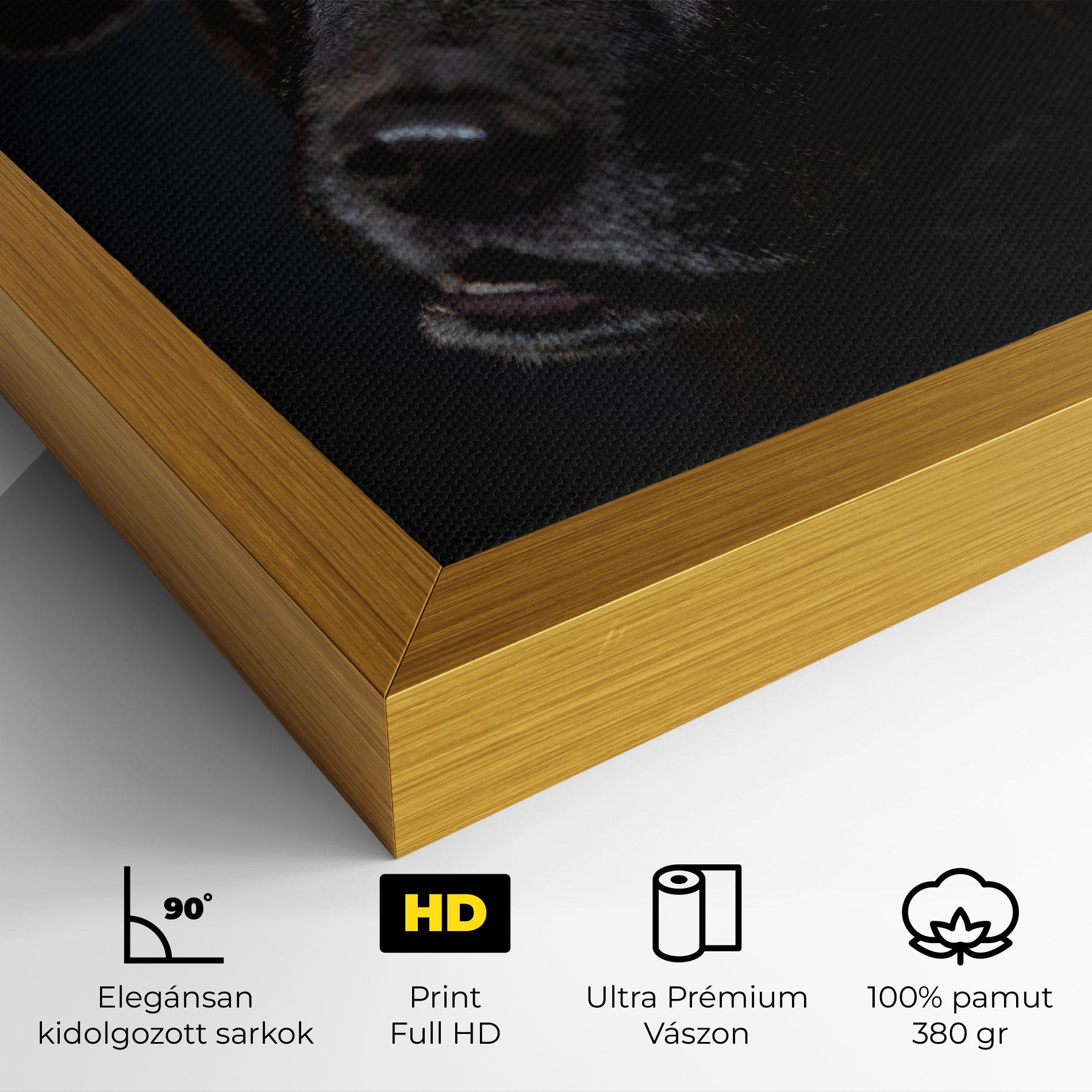 Vászonkép Black Dog Portrait mockup 4