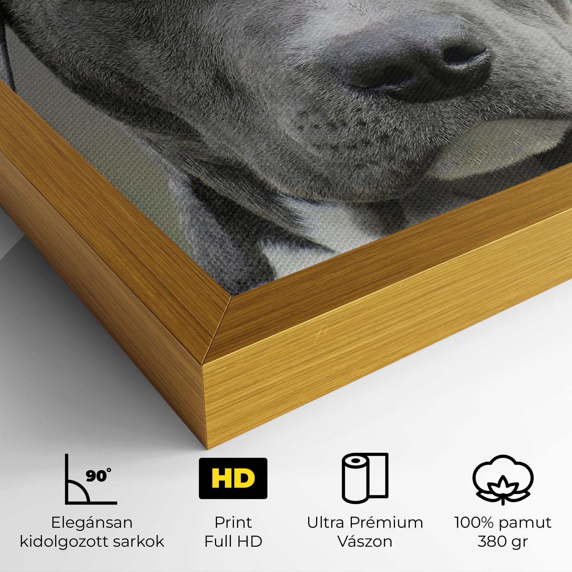 Vászonkép Blue Eyes Dog mockup 4