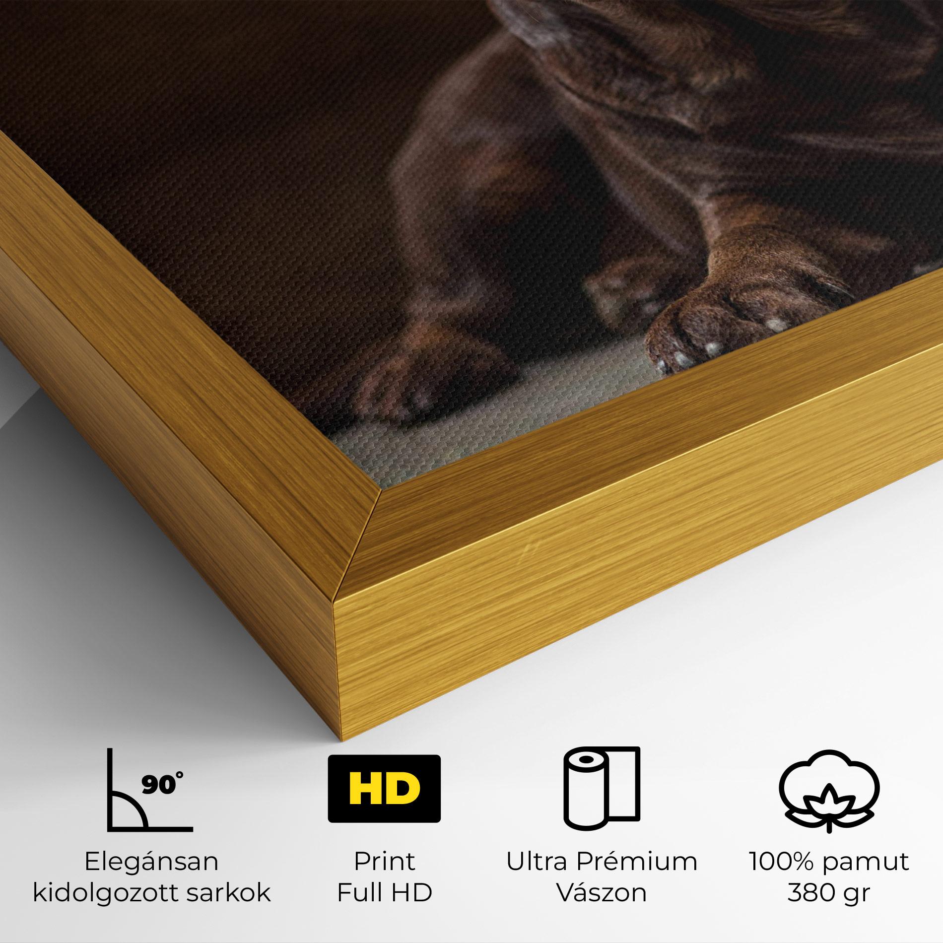 Vászonkép Cute Brown Labrador mockup 4