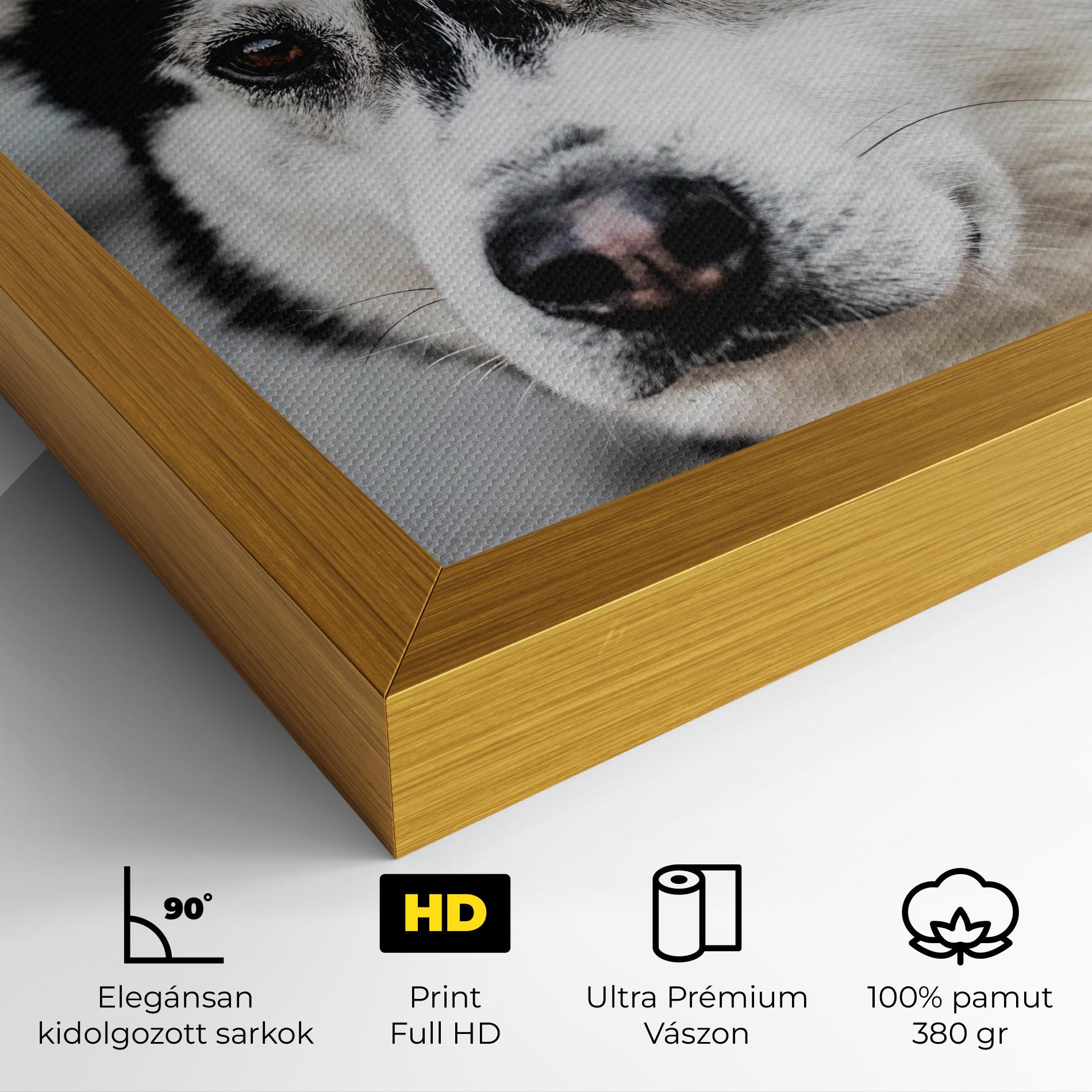 Vászonkép Husky Dog mockup 4