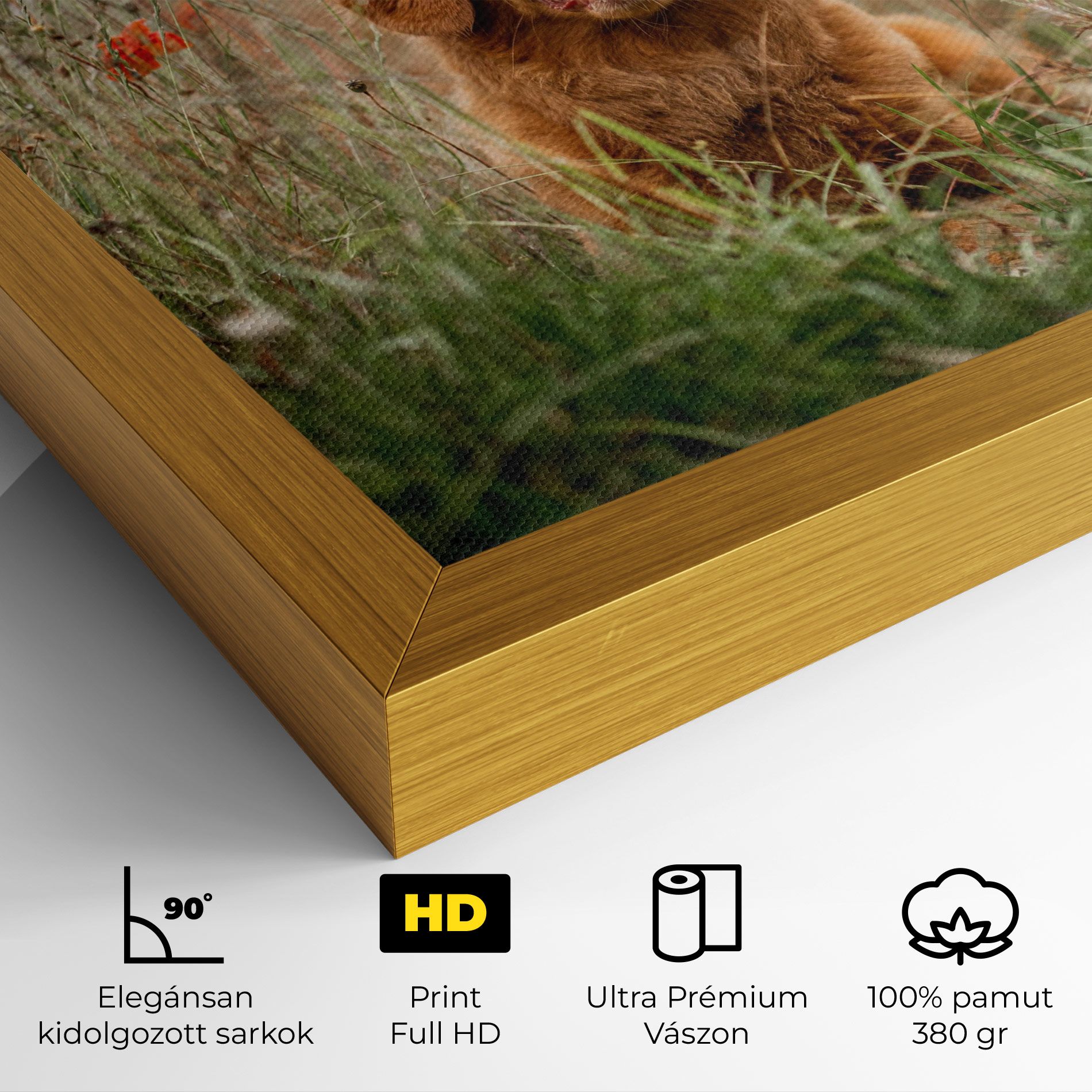 Red Flowers Dog mockup 4