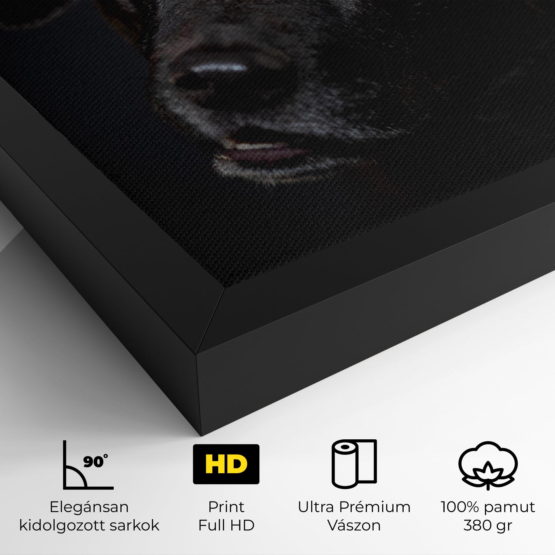 Vászonkép Black Dog Portrait mockup 4