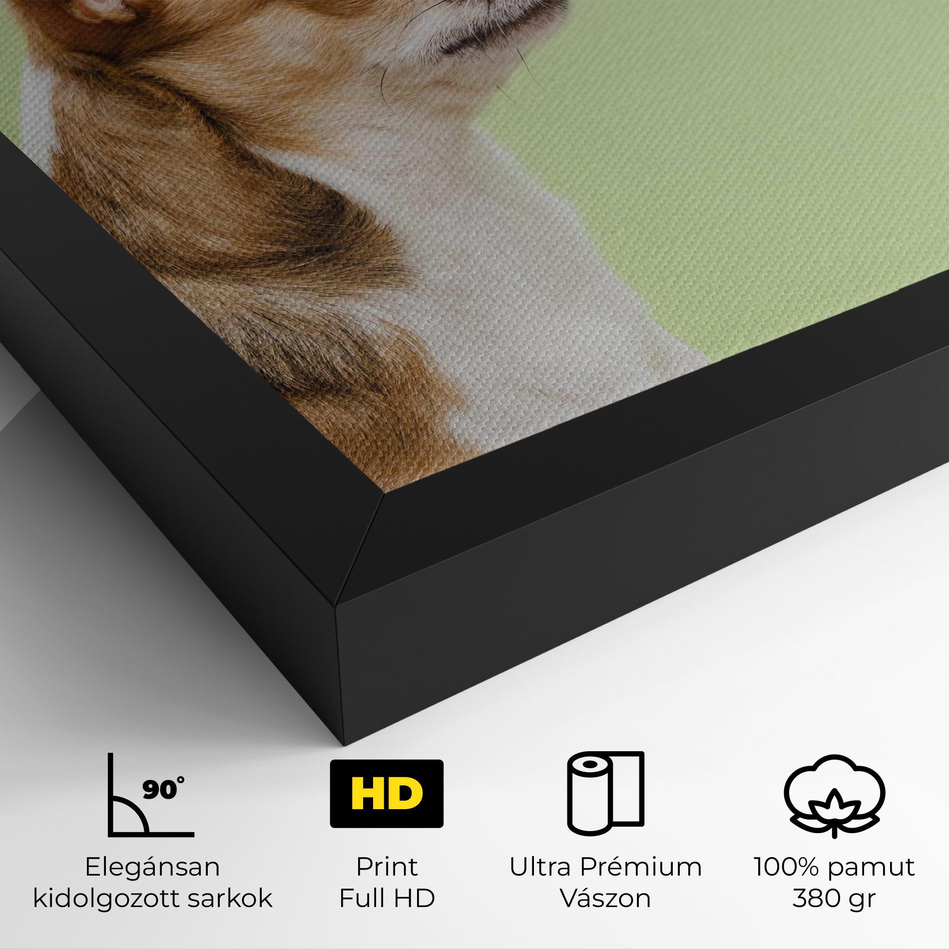 Vászonkép Chihuahua Dog mockup 4