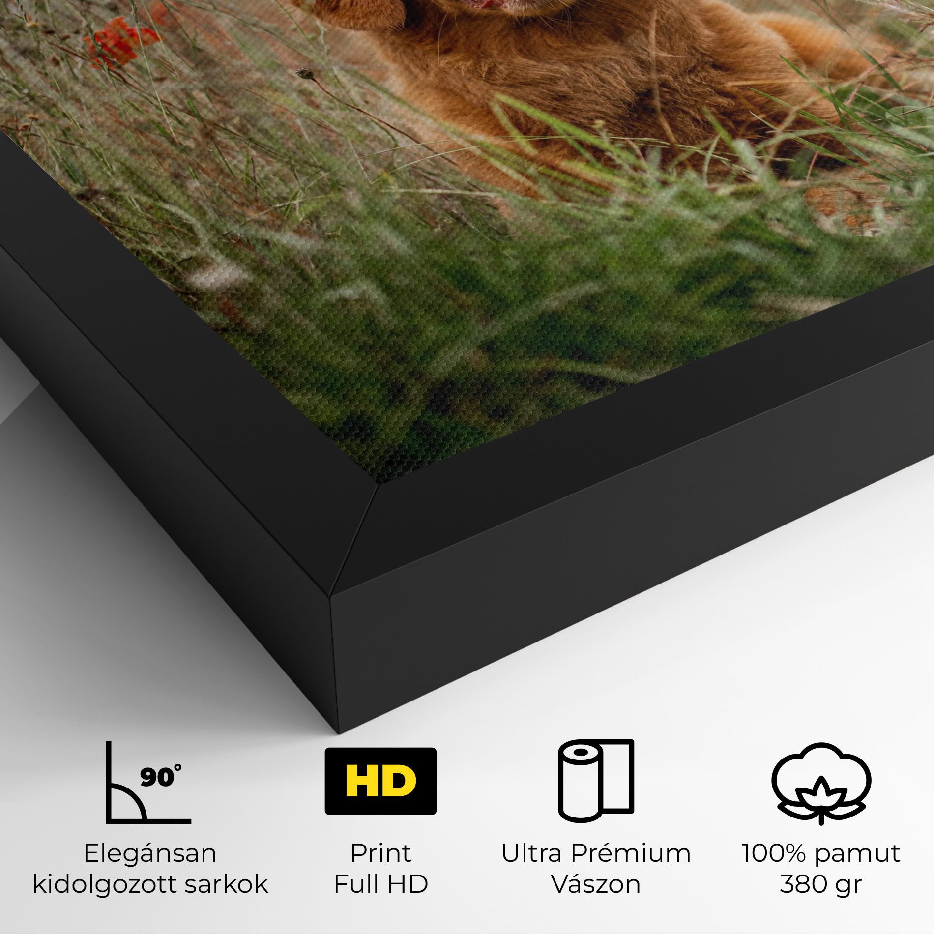 Red Flowers Dog mockup 4