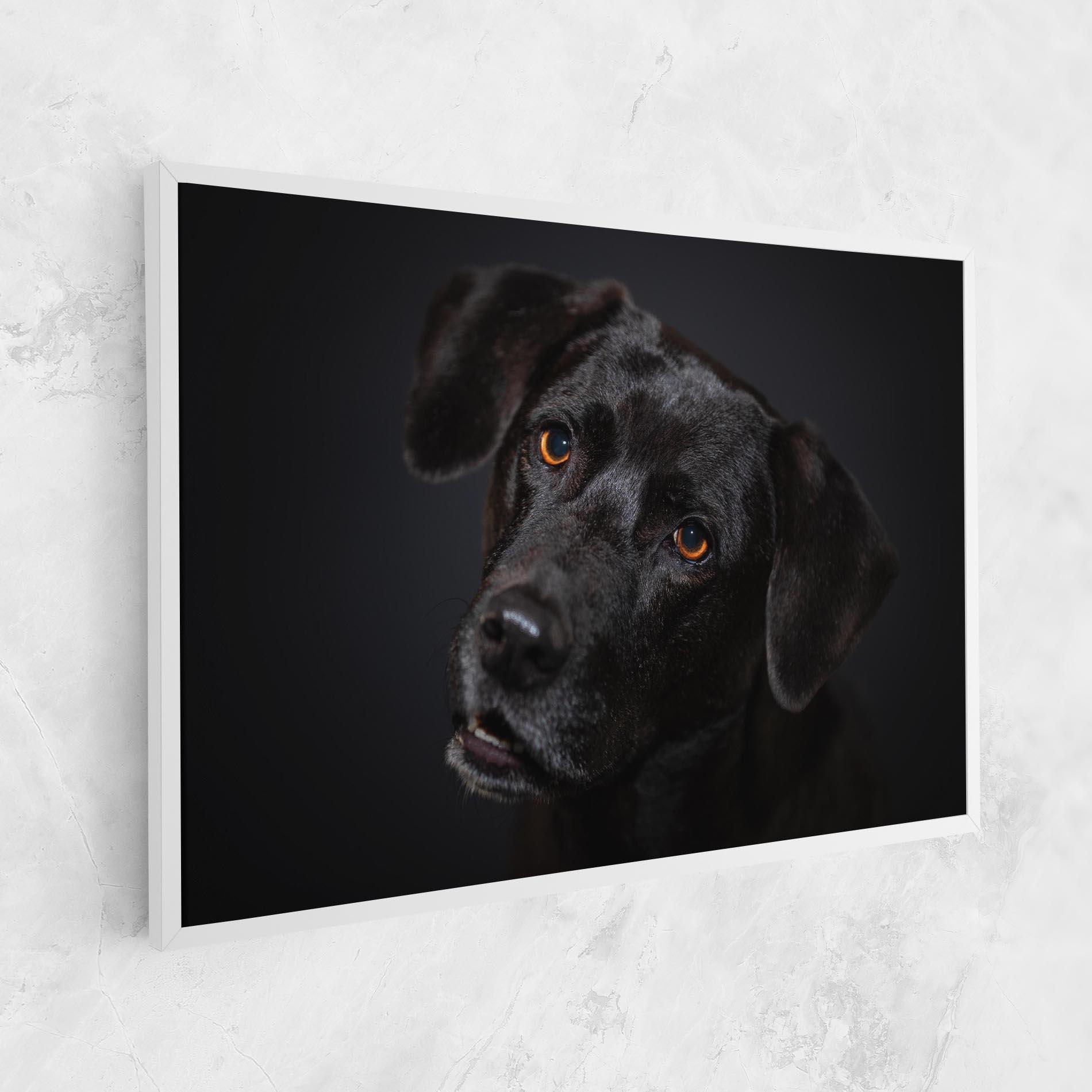 Vászonkép Black Dog Portrait mockup 1