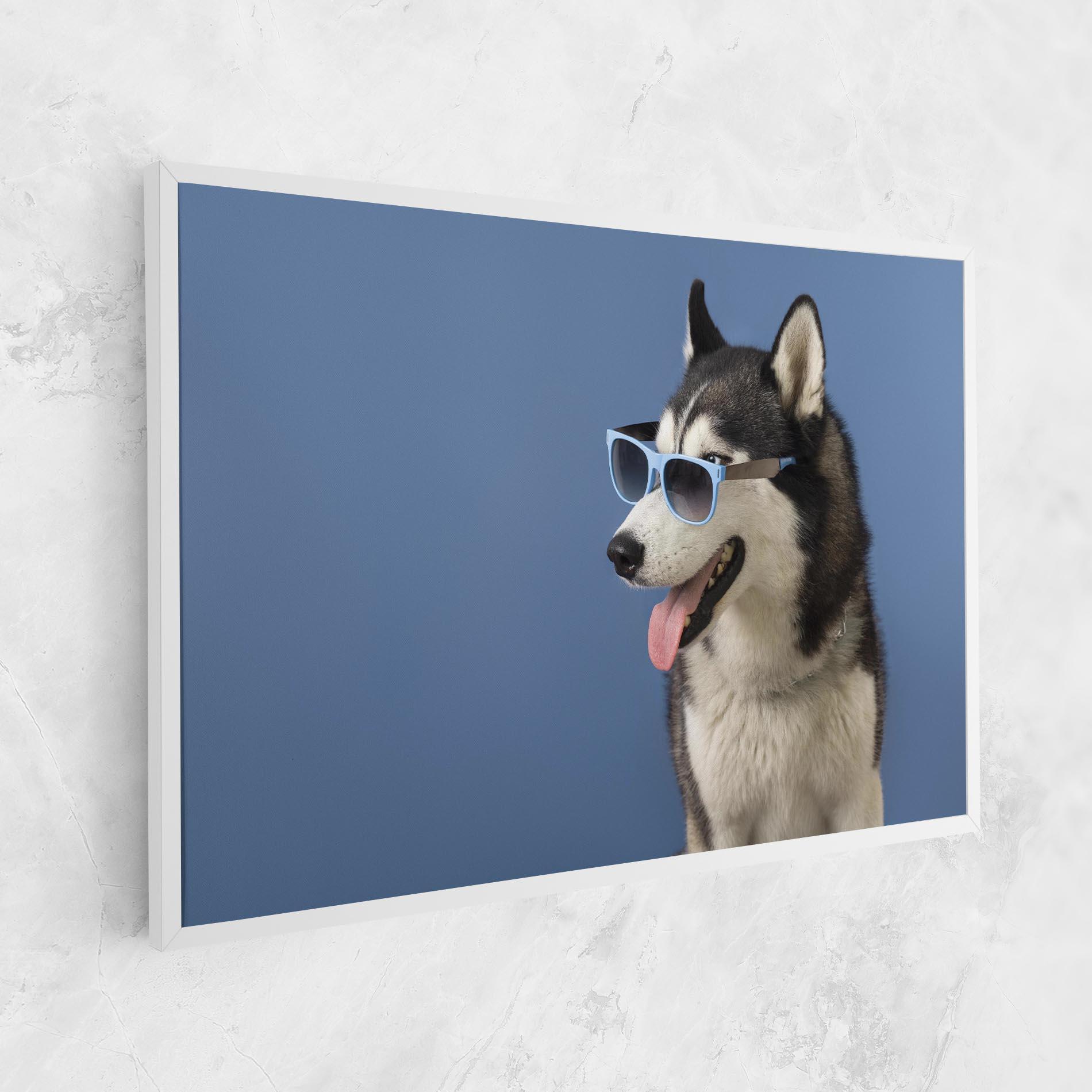 Vászonkép Blue Glasses Dog mockup 1
