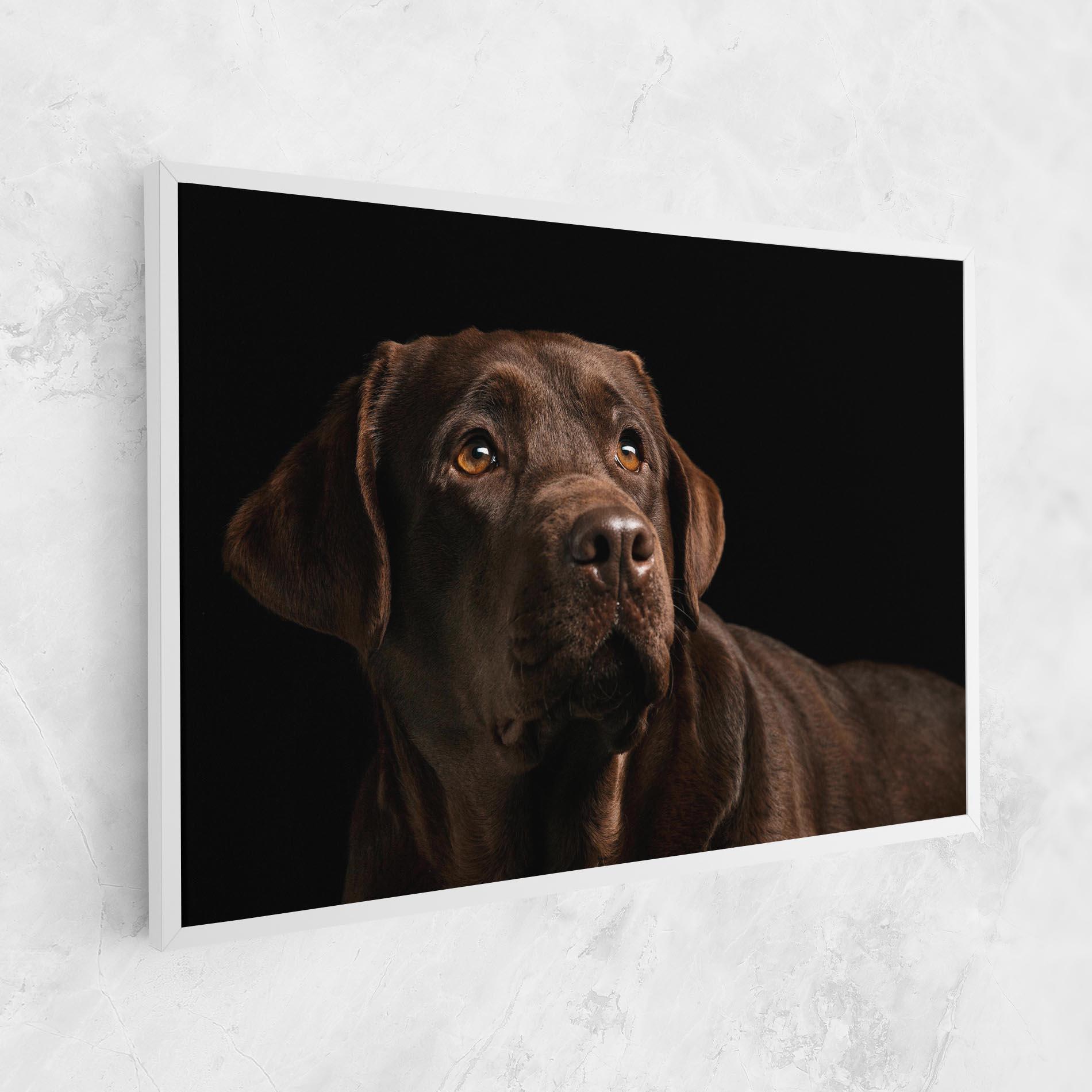 Vászonkép Brown Labrador mockup 1