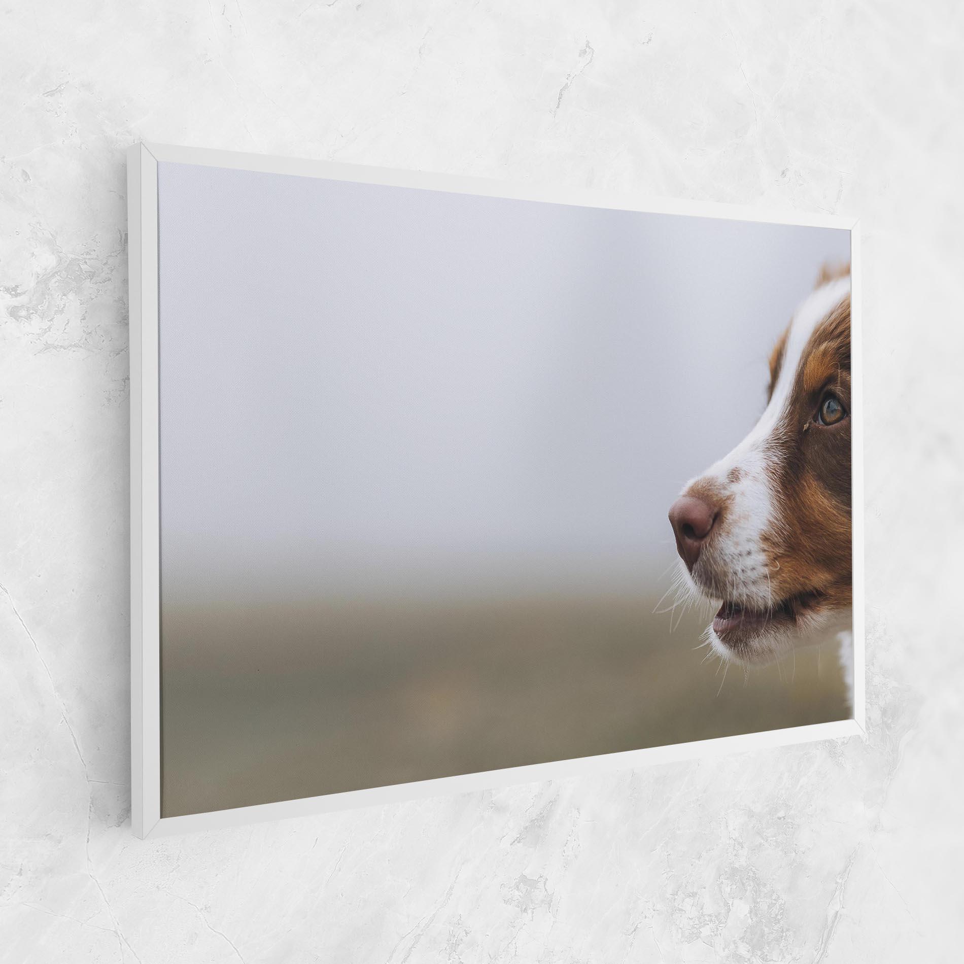 Vászonkép Brown White Dog mockup 1