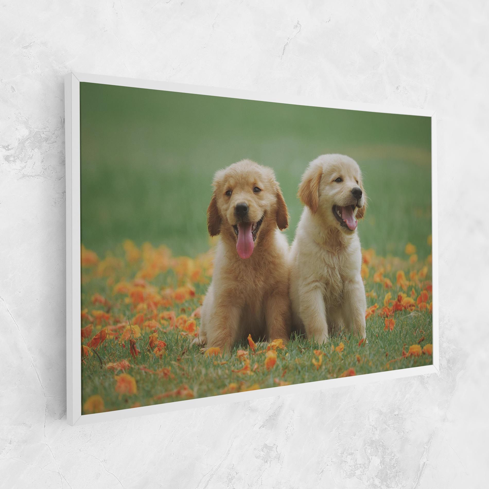 Happy Dogs mockup 1