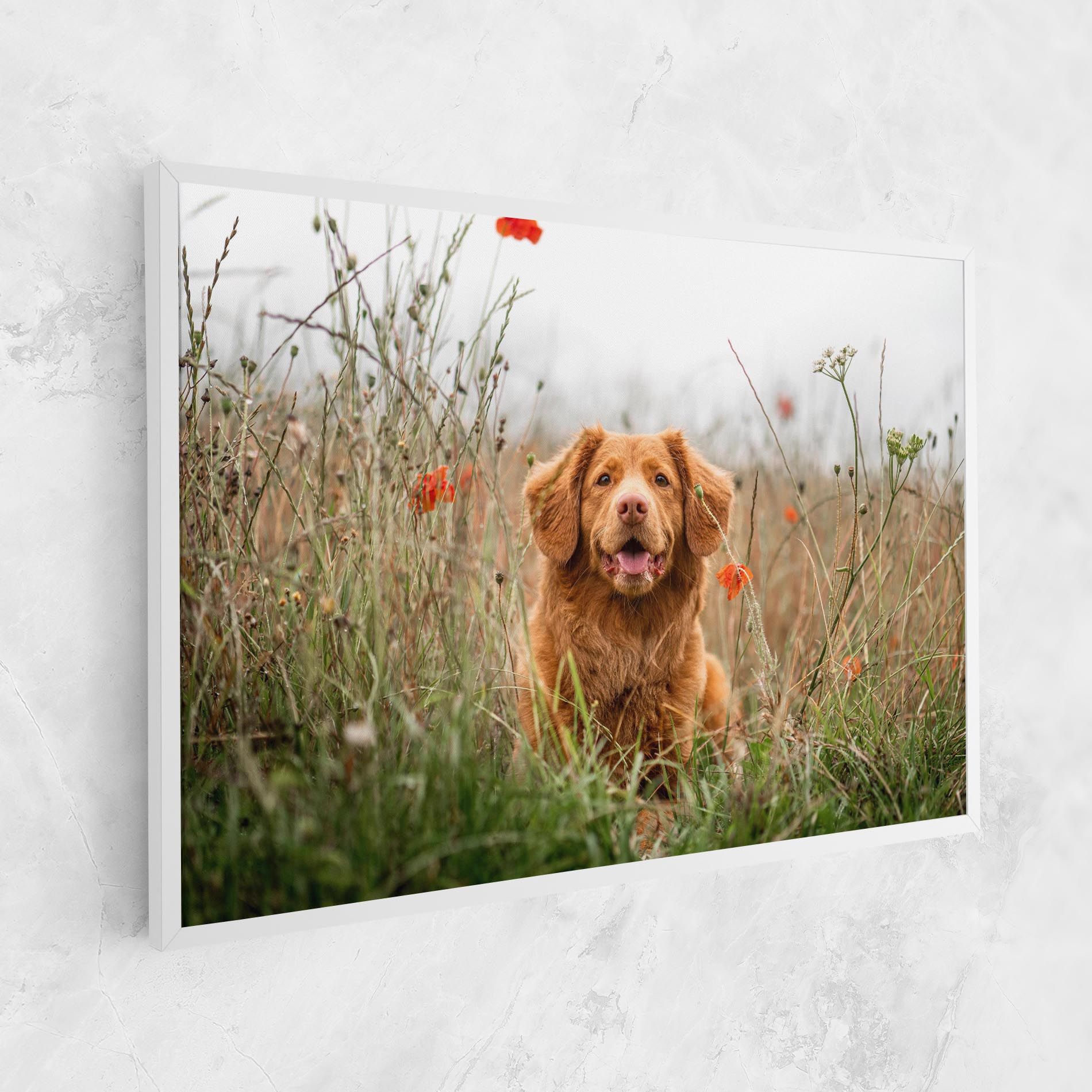 Red Flowers Dog mockup 1