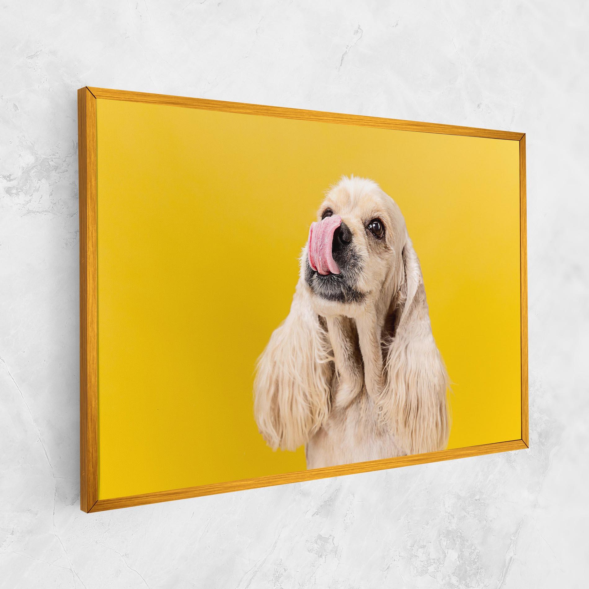 Vászonkép American Spaniel mockup 1