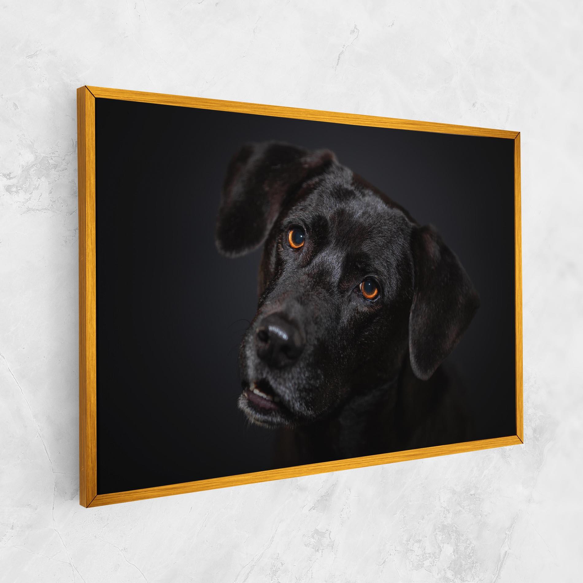 Vászonkép Black Dog Portrait mockup 1